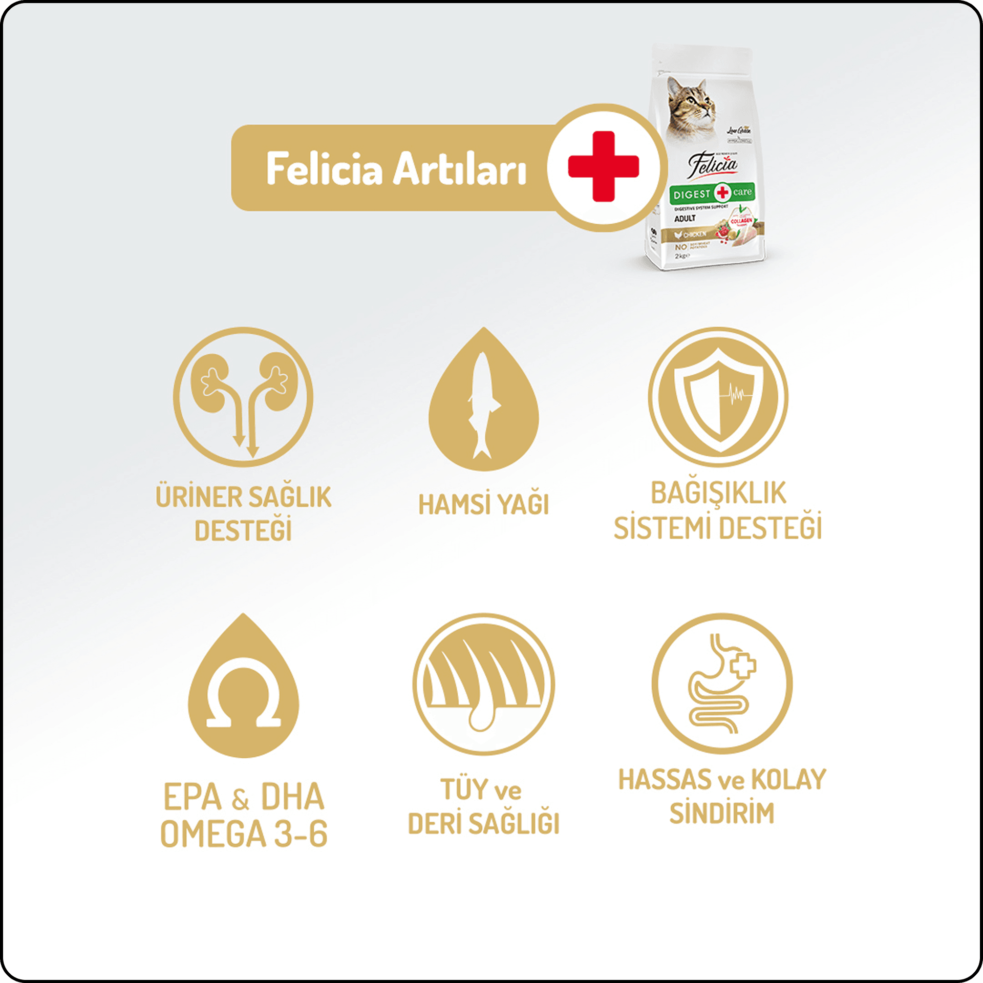 Felicia HypoAllergenic Az Tahıllı Tavuklu Yetişkin Kedi Maması 2 kg