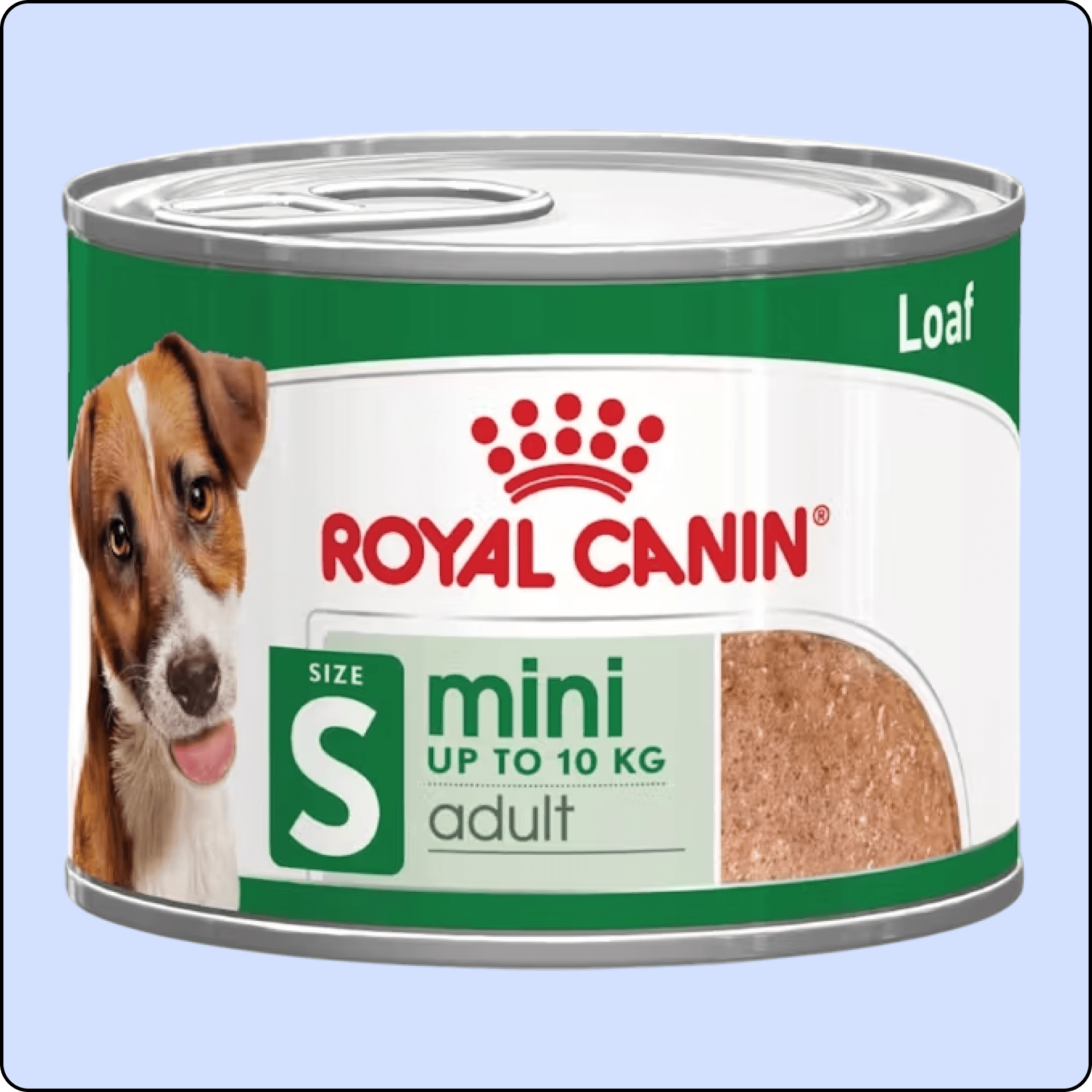 Royal Canin Loaf Mousse Küçük Irk Ezme Yetişkin Köpek Konservesi 195 gr