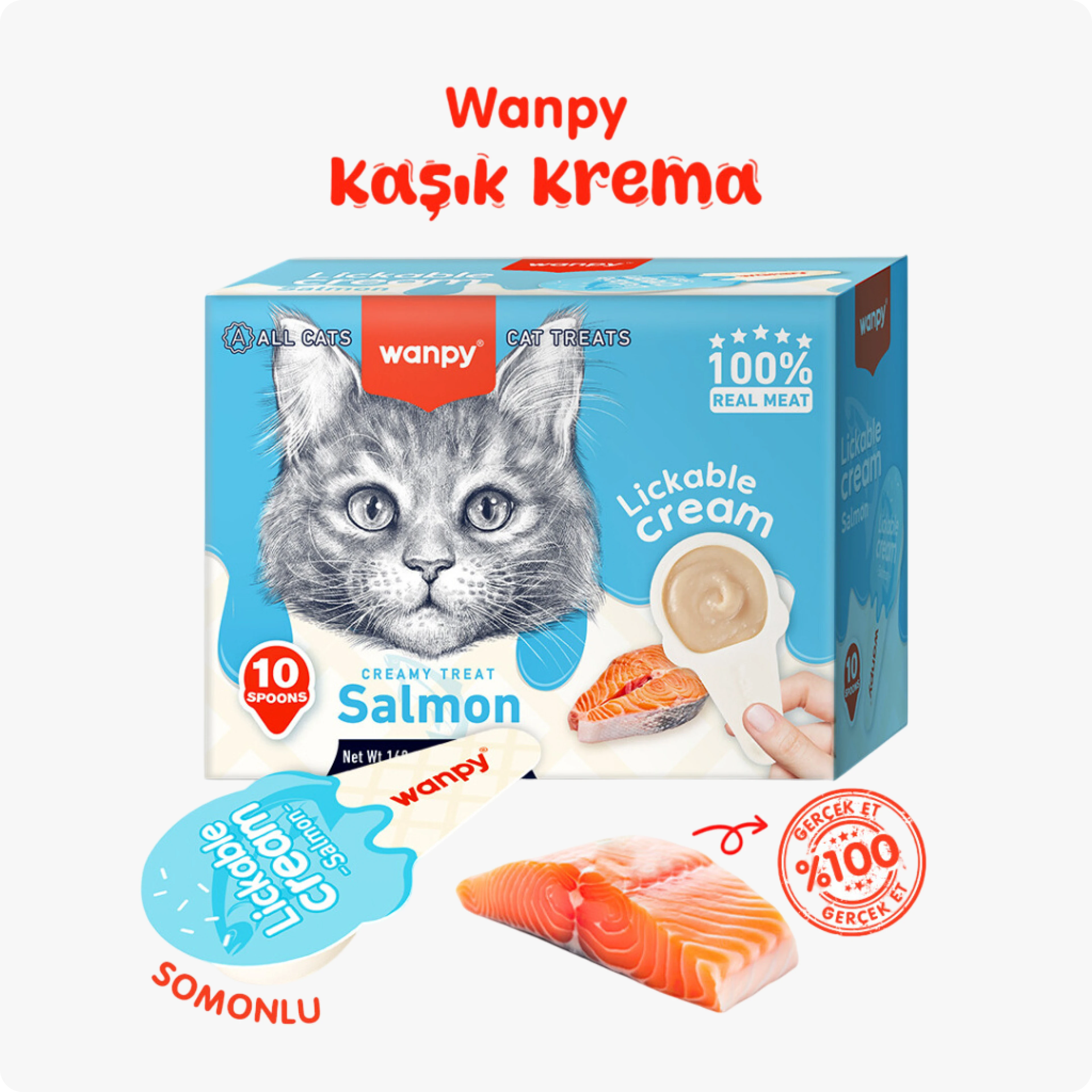 Wanpy Somonlu Kaşık Krema Kedi Ödül Maması 16 gr 10'lu