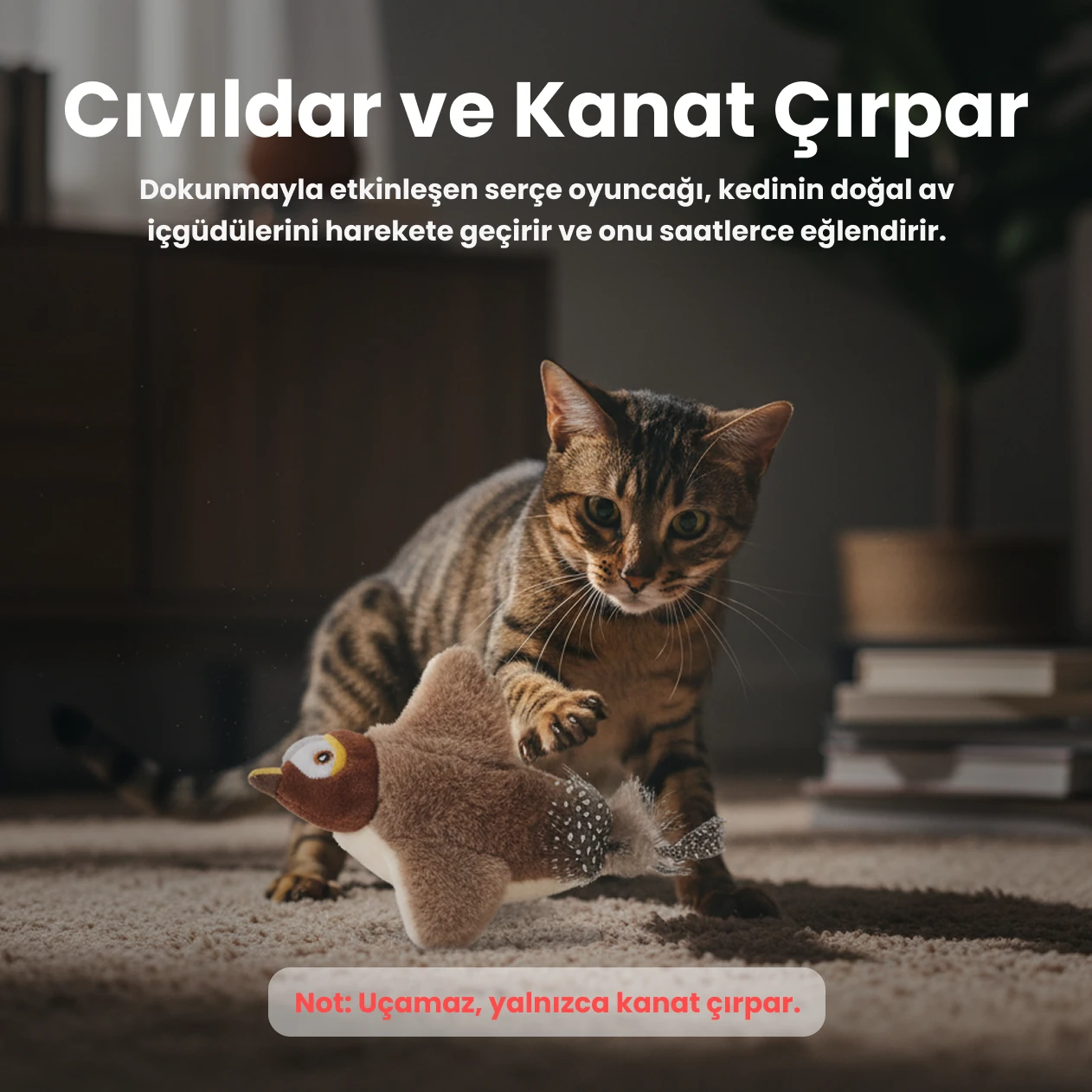 Sesli ve Kanat Çırpan Uçan Kuş Kedi Oyuncağı | Etkileşimli Eğlence, Gerçekçi Deneyim