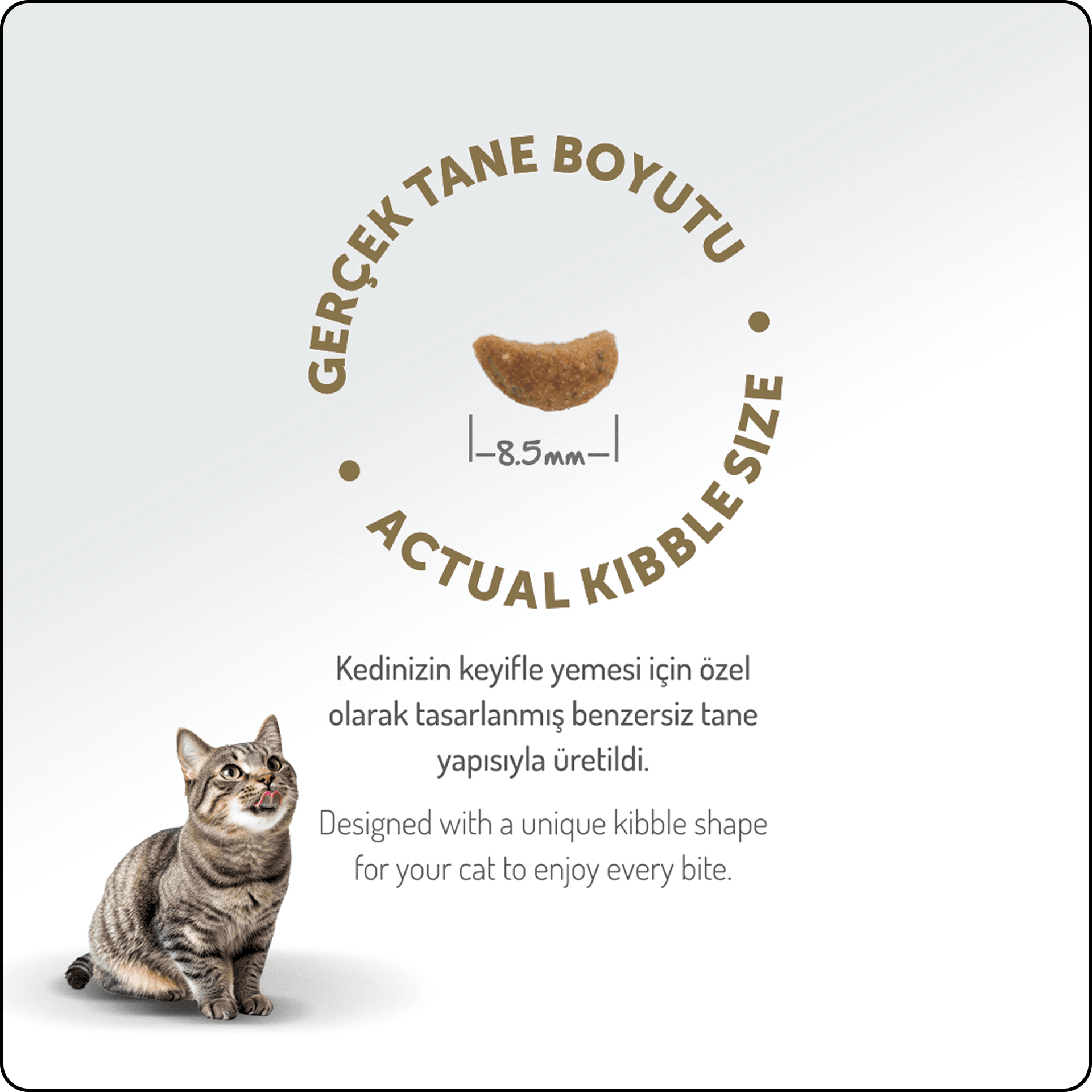 Felicia HypoAllergenic Kuzu Etli Düşük Tahıllı Yetişkin Kedi Maması 2 kg