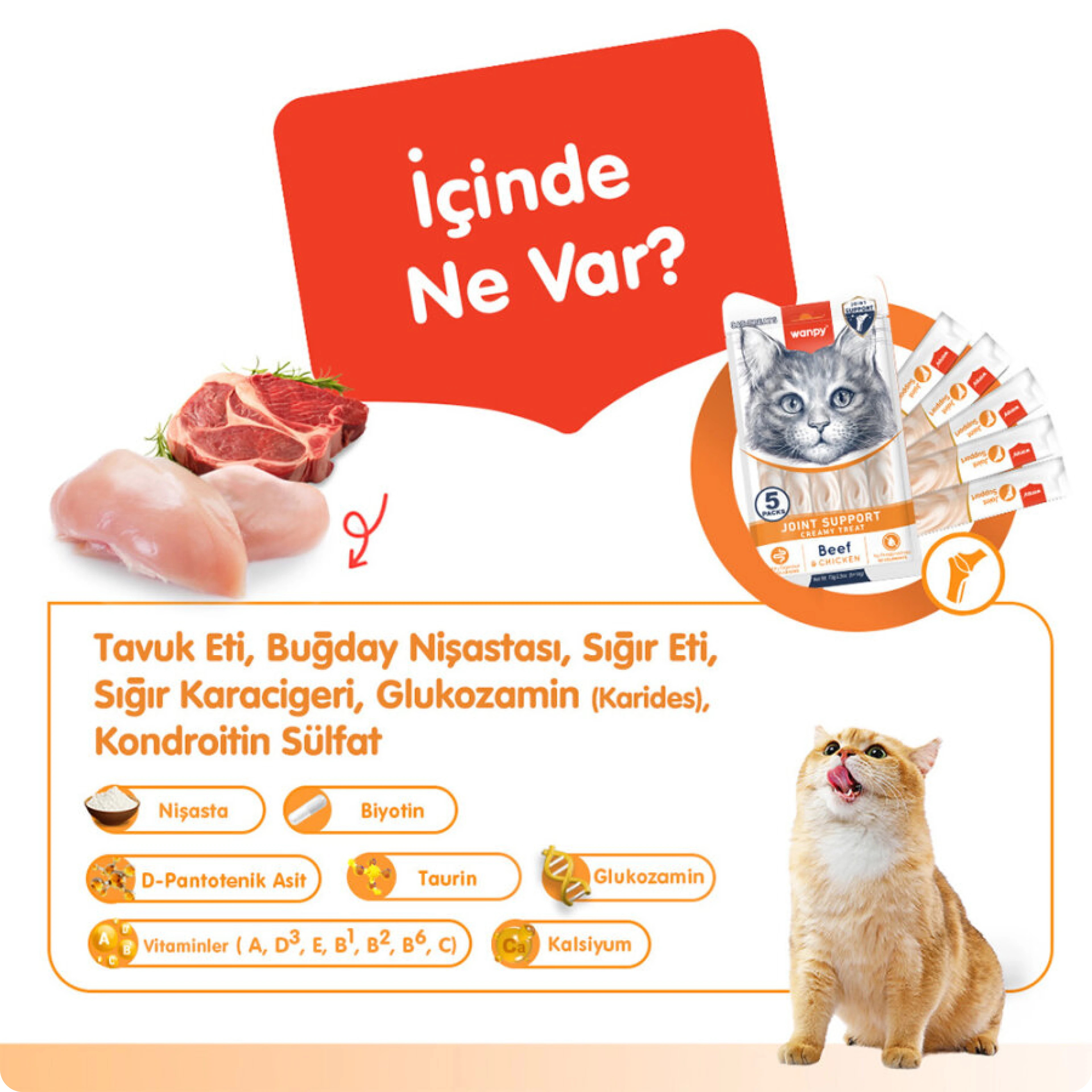 Wanpy Joint Support Sığır Etli ve Tavuklu Eklem Desteği Krema Kedi Ödül Maması 14 gr (5'li)