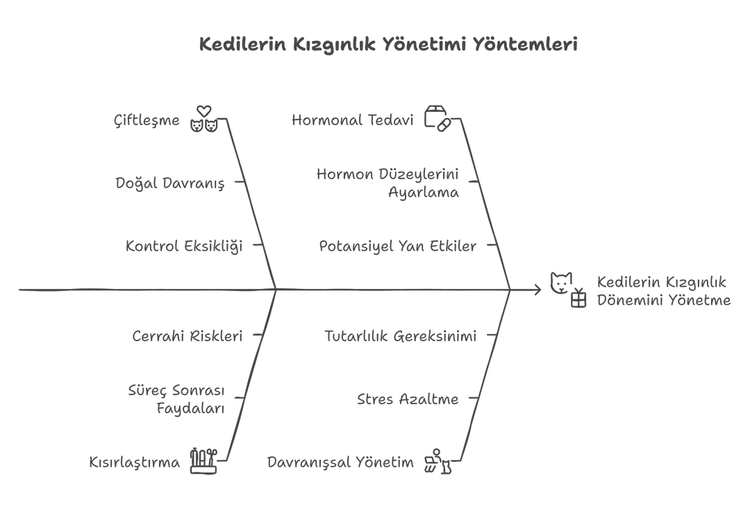 Kedilerin kızgınlık dönemini yönetme yöntemlerini gösteren balık kılçığı diyagramı.