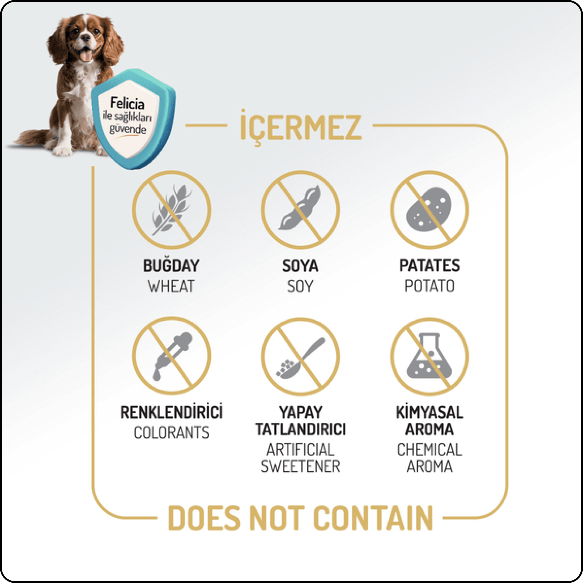 Felicia HypoAllergenic Somonlu ve Kolajenli Küçük Irk Düşük Tahıllı Yetişkin Köpek Maması 6 kg