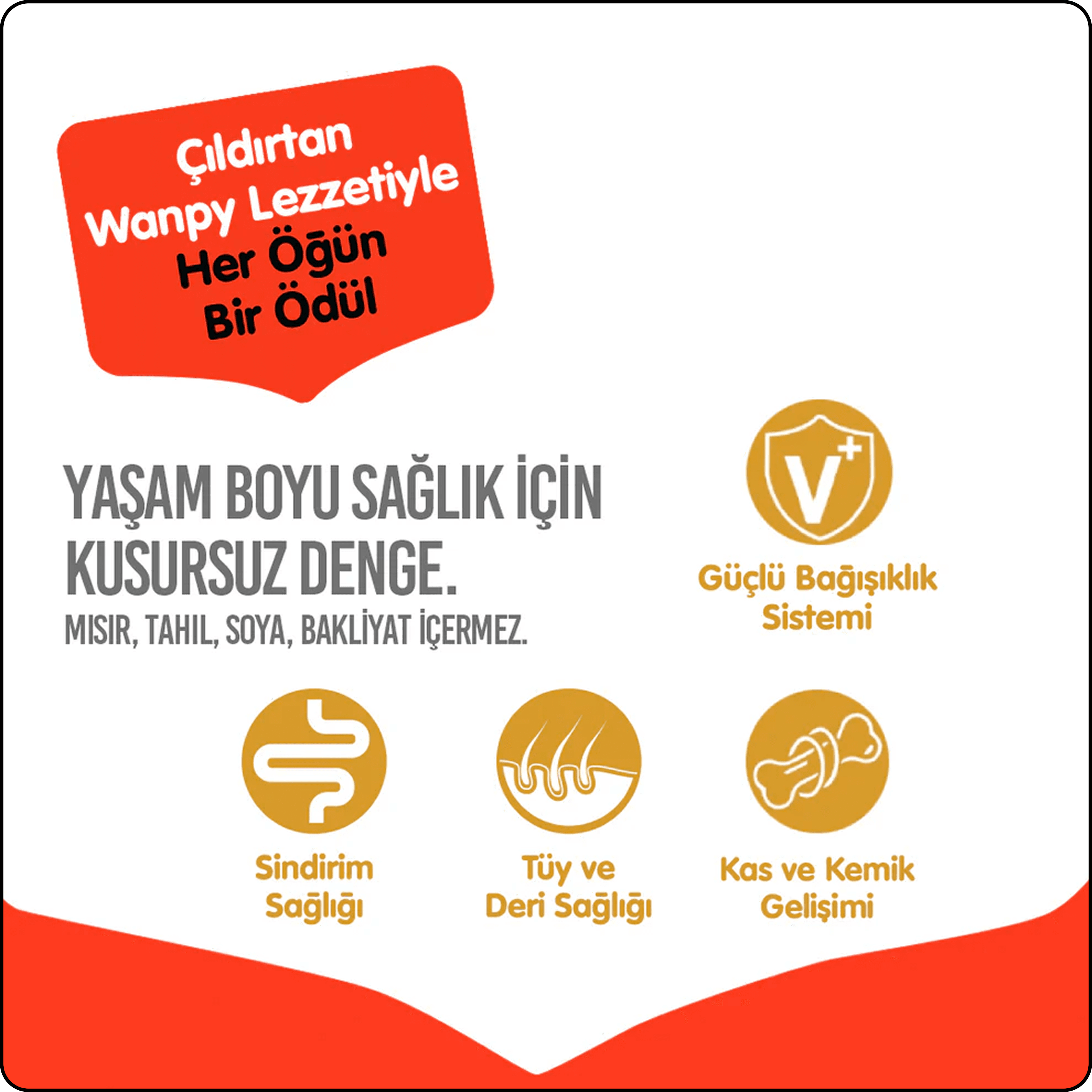 Wanpy Ördekli Tahılsız Yetişkin Köpek Maması 1.5 kg