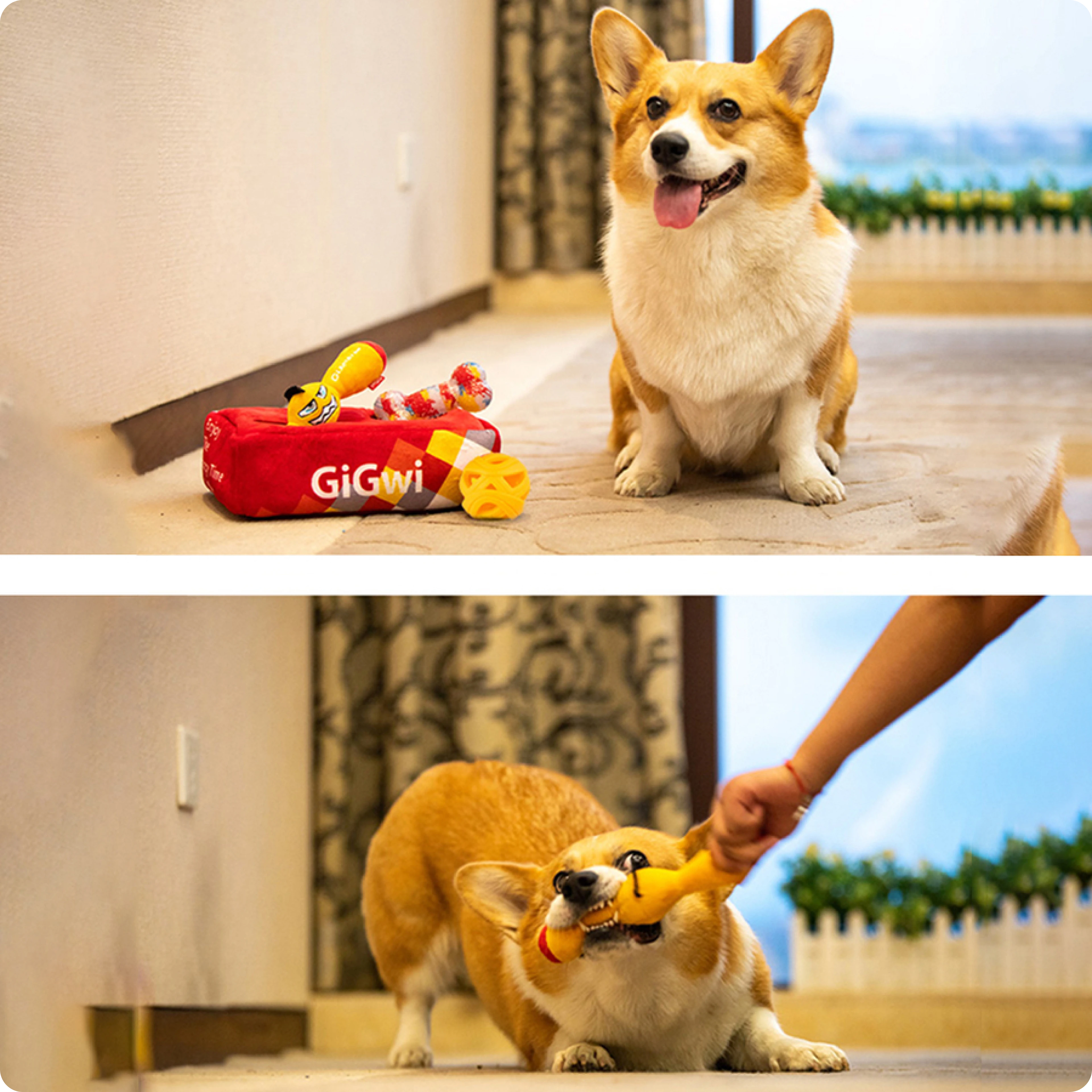 GiGwi Peluş Kemik Çantası Köpek Oyuncağı