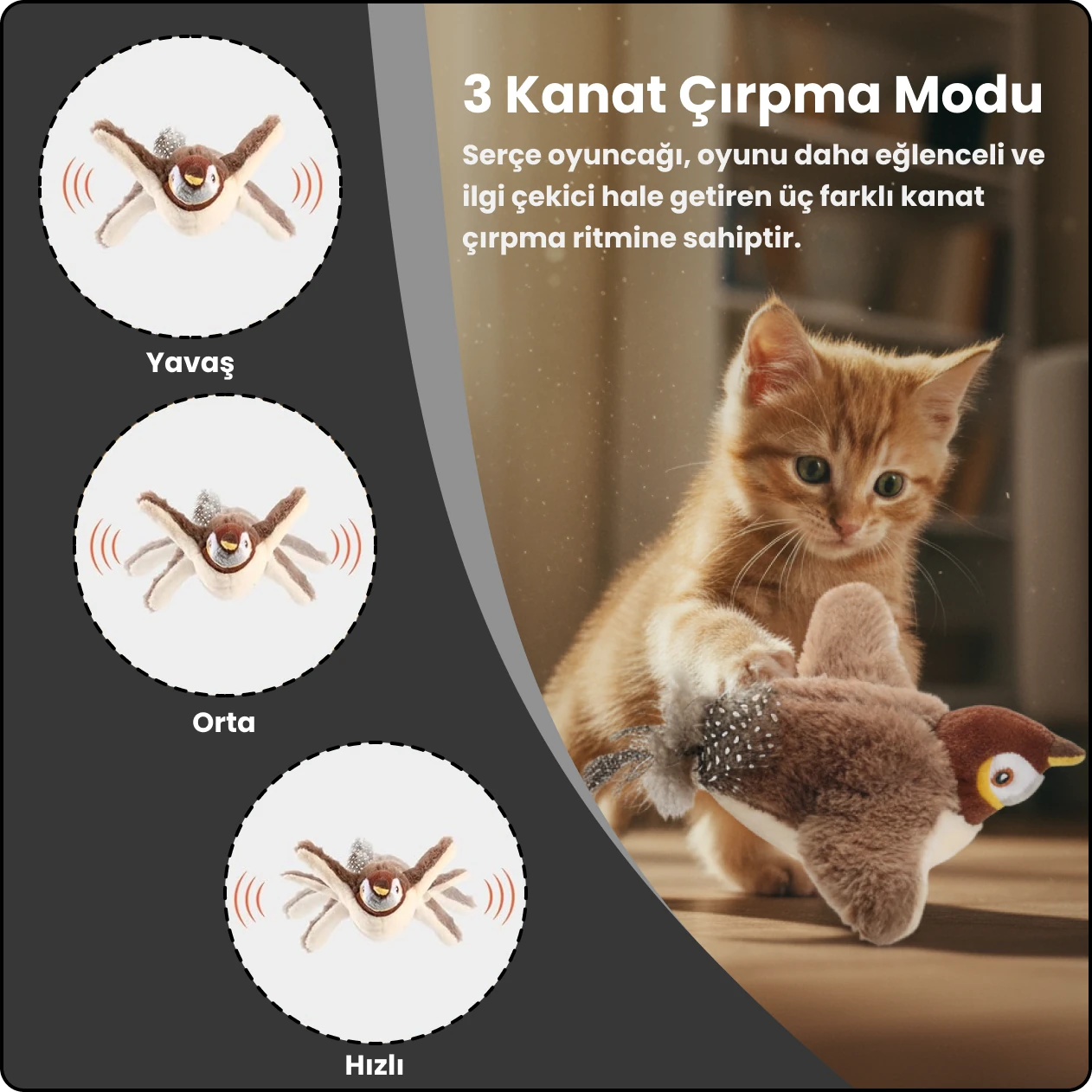 Sesli ve Kanat Çırpan Uçan Kuş Kedi Oyuncağı | Etkileşimli Eğlence, Gerçekçi Deneyim