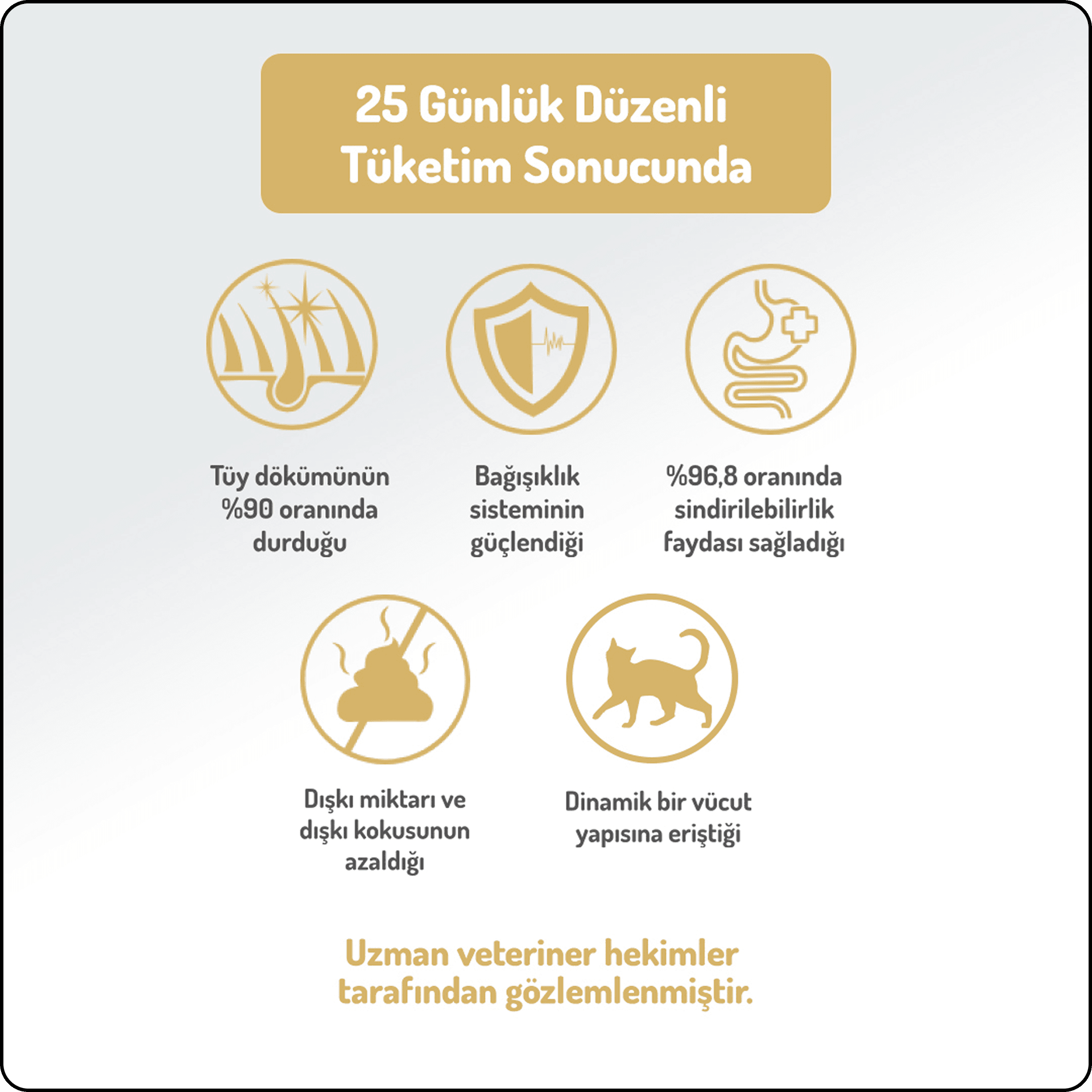 Felicia Hypo-Allergenic Üriner Sağlığı için Somonlu Düşük Tahıllı Kısırlaştırılmış Kedi Maması 12 kg