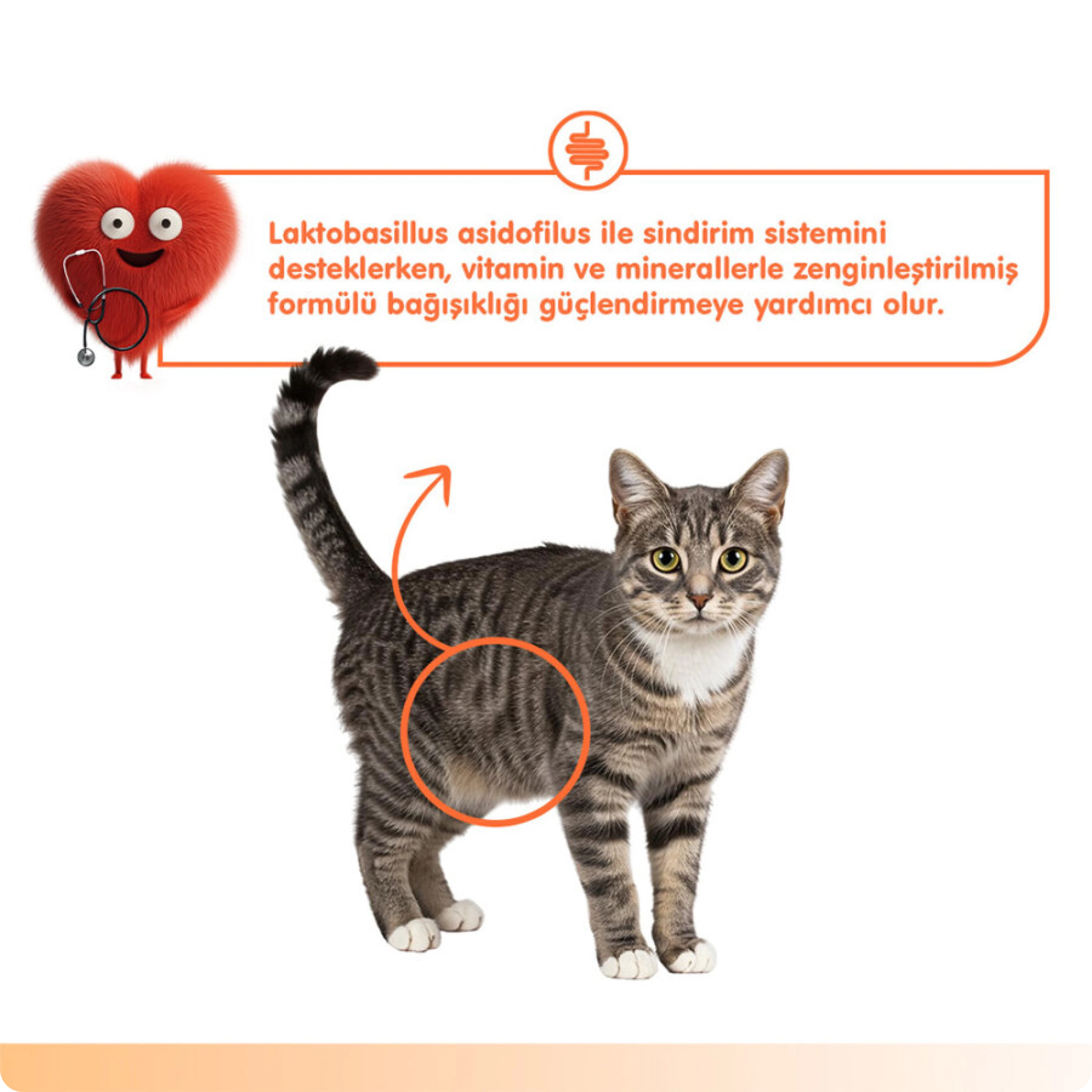 Wanpy Digestive Health Somonlu ve Tavuklu Sindirim Desteği Krema Kedi Ödül Maması 14 gr (5'li)