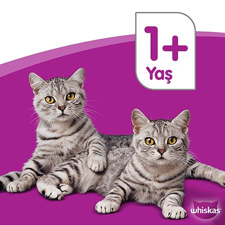 Whiskas Biftekli Yetişkin Kedi Maması 1,4 kg