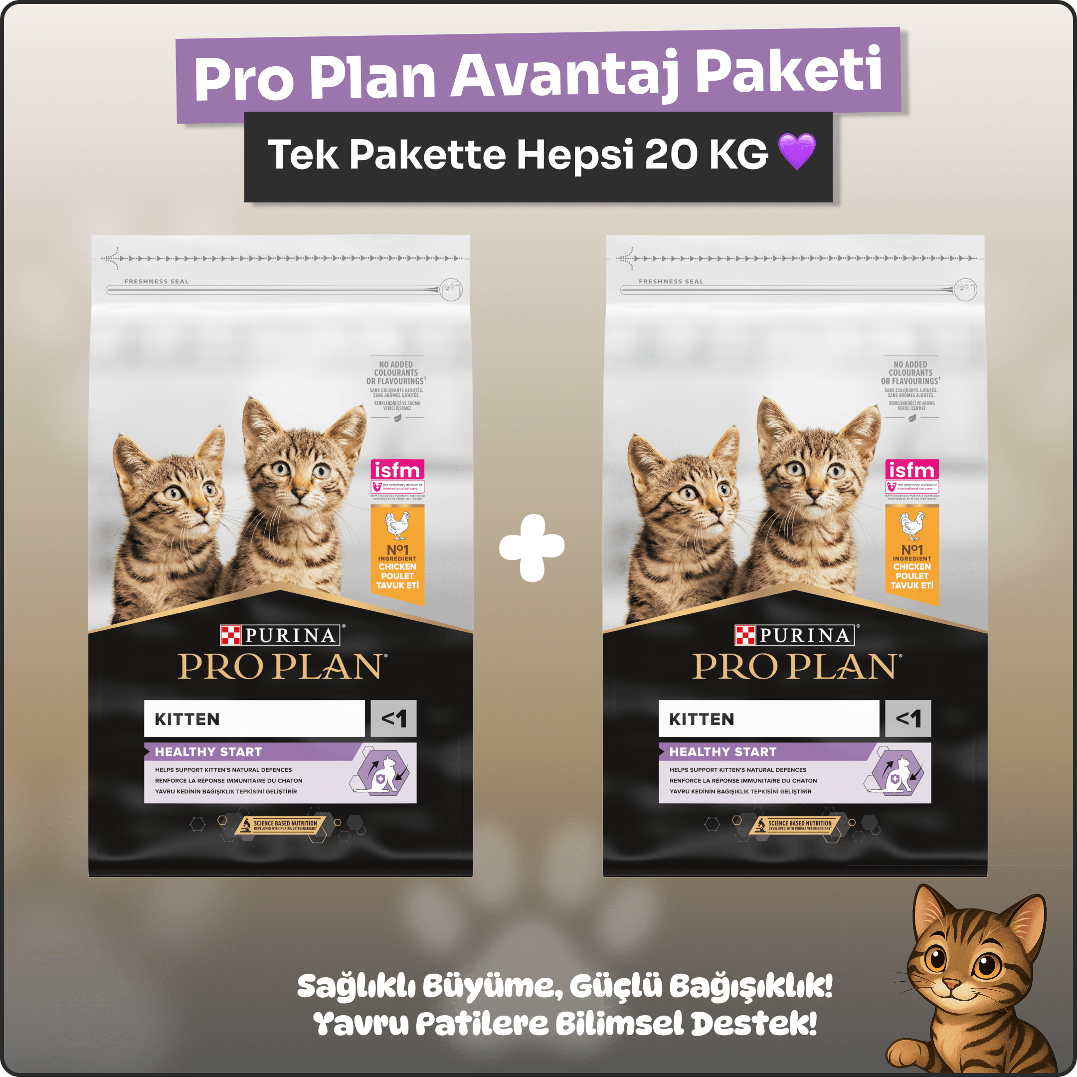 Pro Plan Yavru Kedi Maması Avantaj Paketi 20 kg 