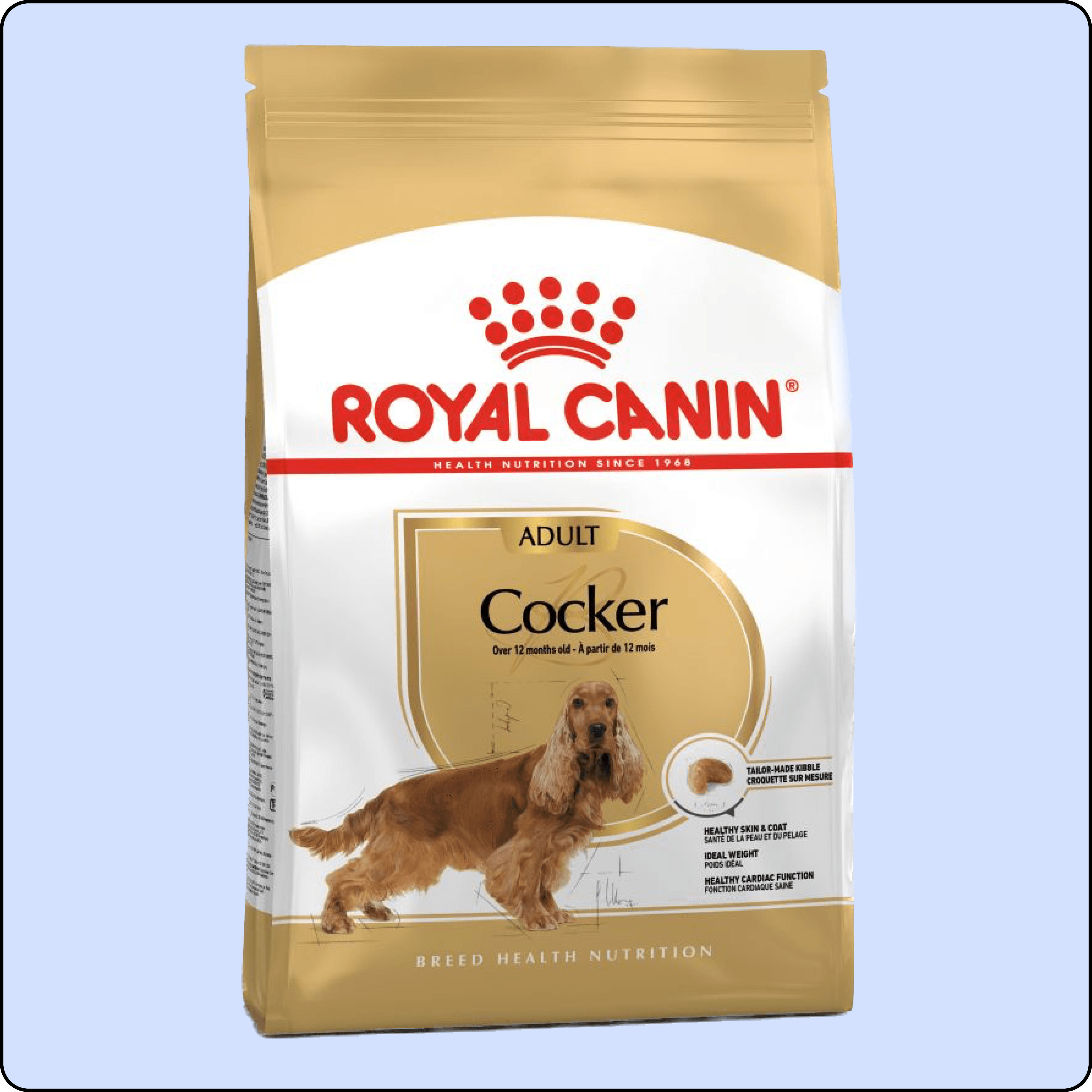 Royal Canin Cocker Yetişkin Köpek Maması 3 kg