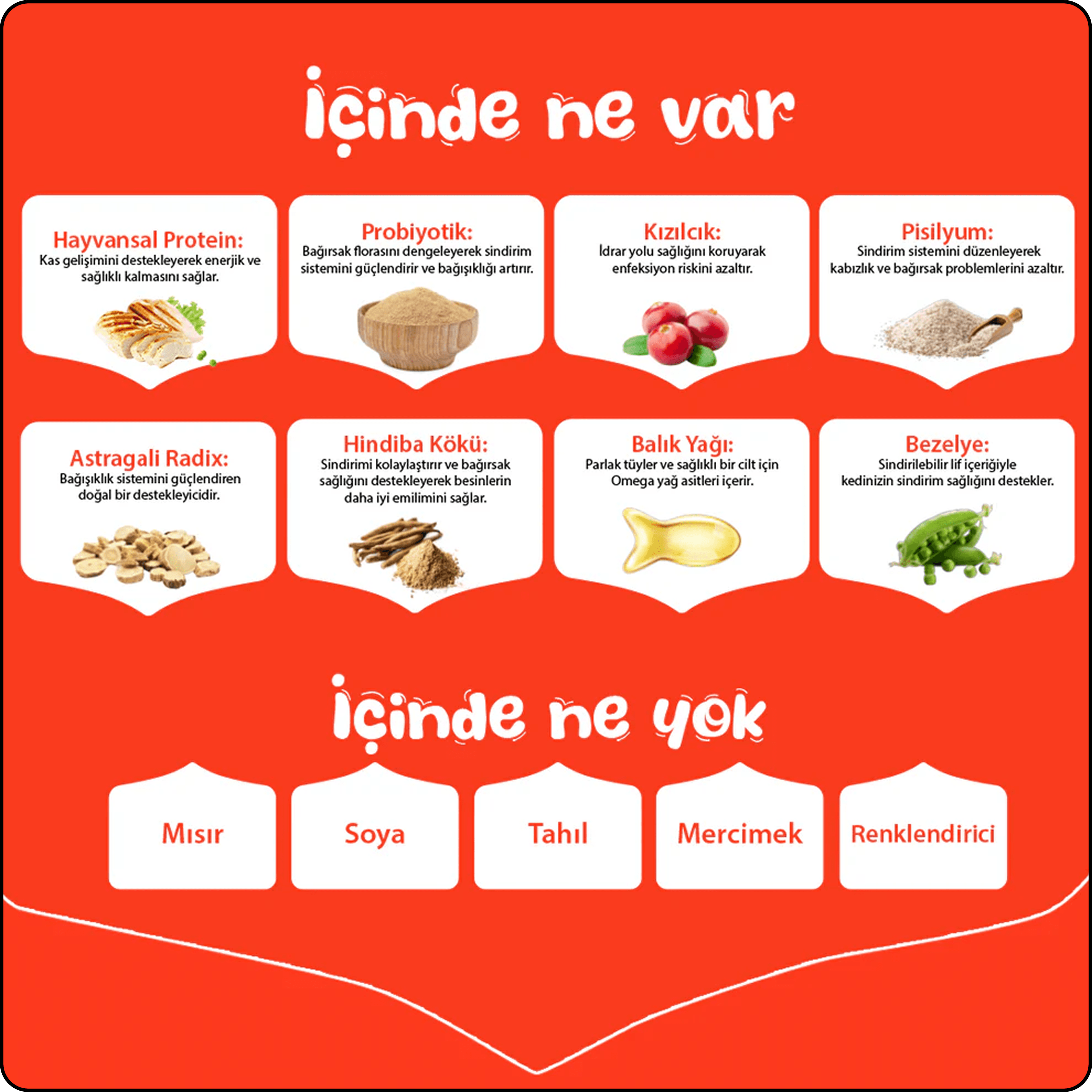 Wanpy Somonlu Tahılsız Yetişkin Kedi Maması 1.5 kg