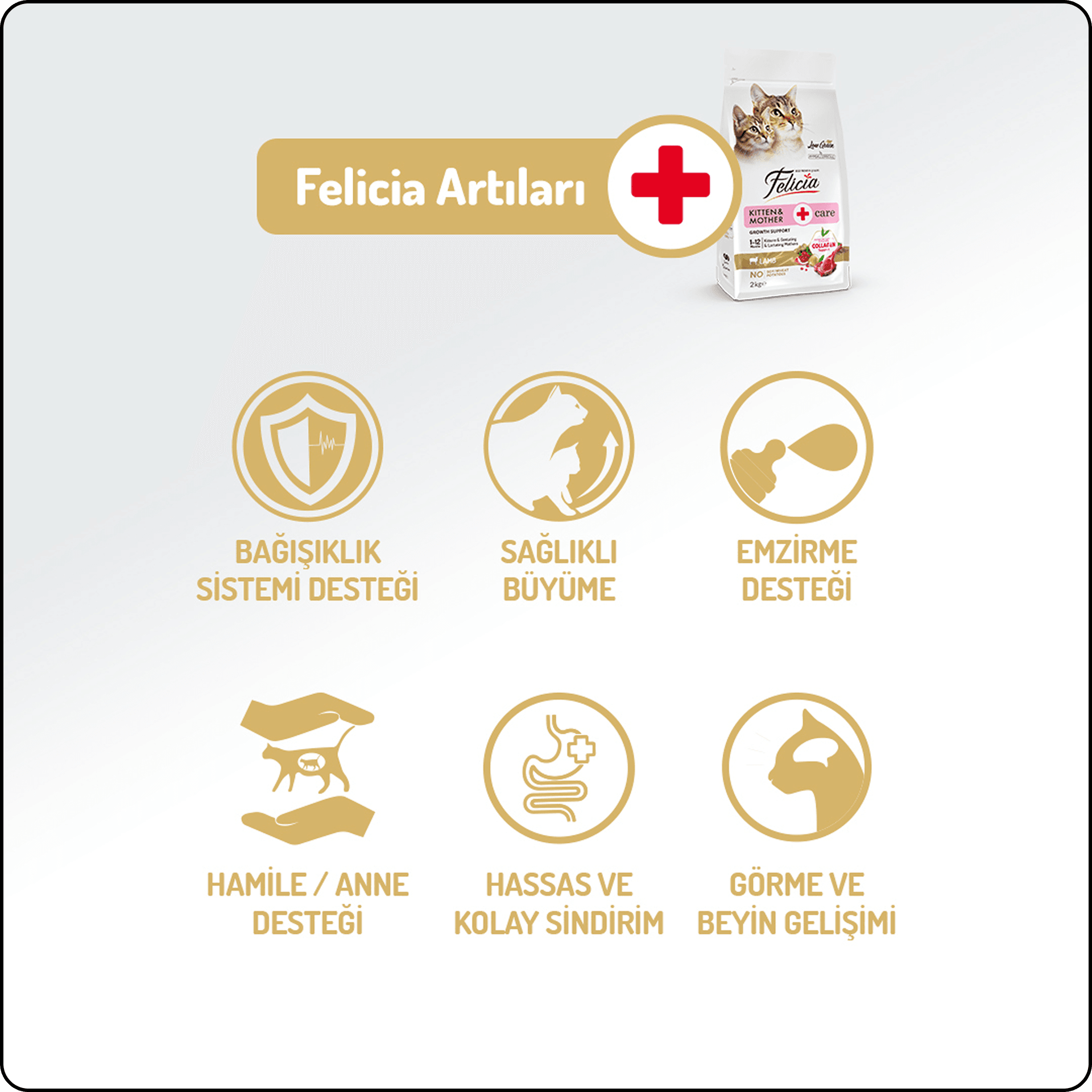 Felicia HypoAllergenic Az Tahıllı Kuzu Etli Yavru Kedi Maması 2 kg