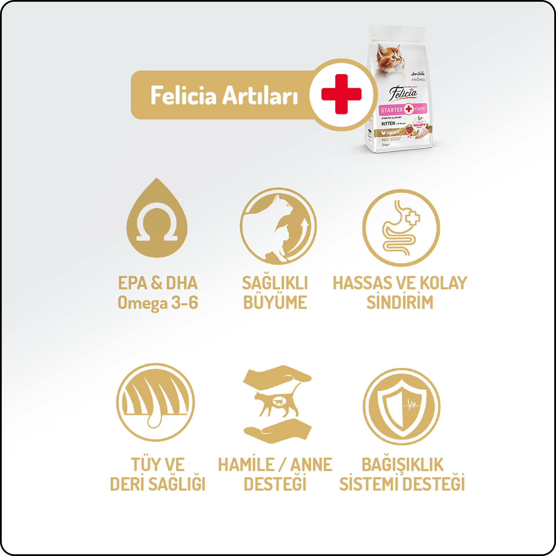 Felicia HypoAllergenic Tavuklu ve Hamsili Düşük Tahıllı Yavru Kedi Maması 2 kg