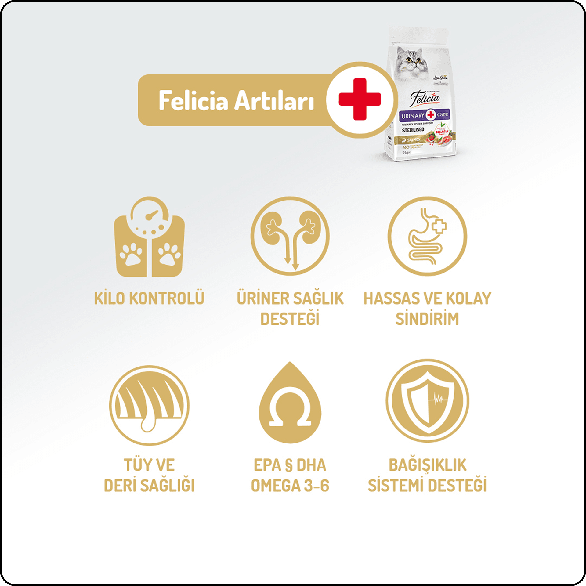 Felicia Hypo-Allergenic Üriner Sağlığı için Somonlu Düşük Tahıllı Kısırlaştırılmış Kedi Maması 12 kg