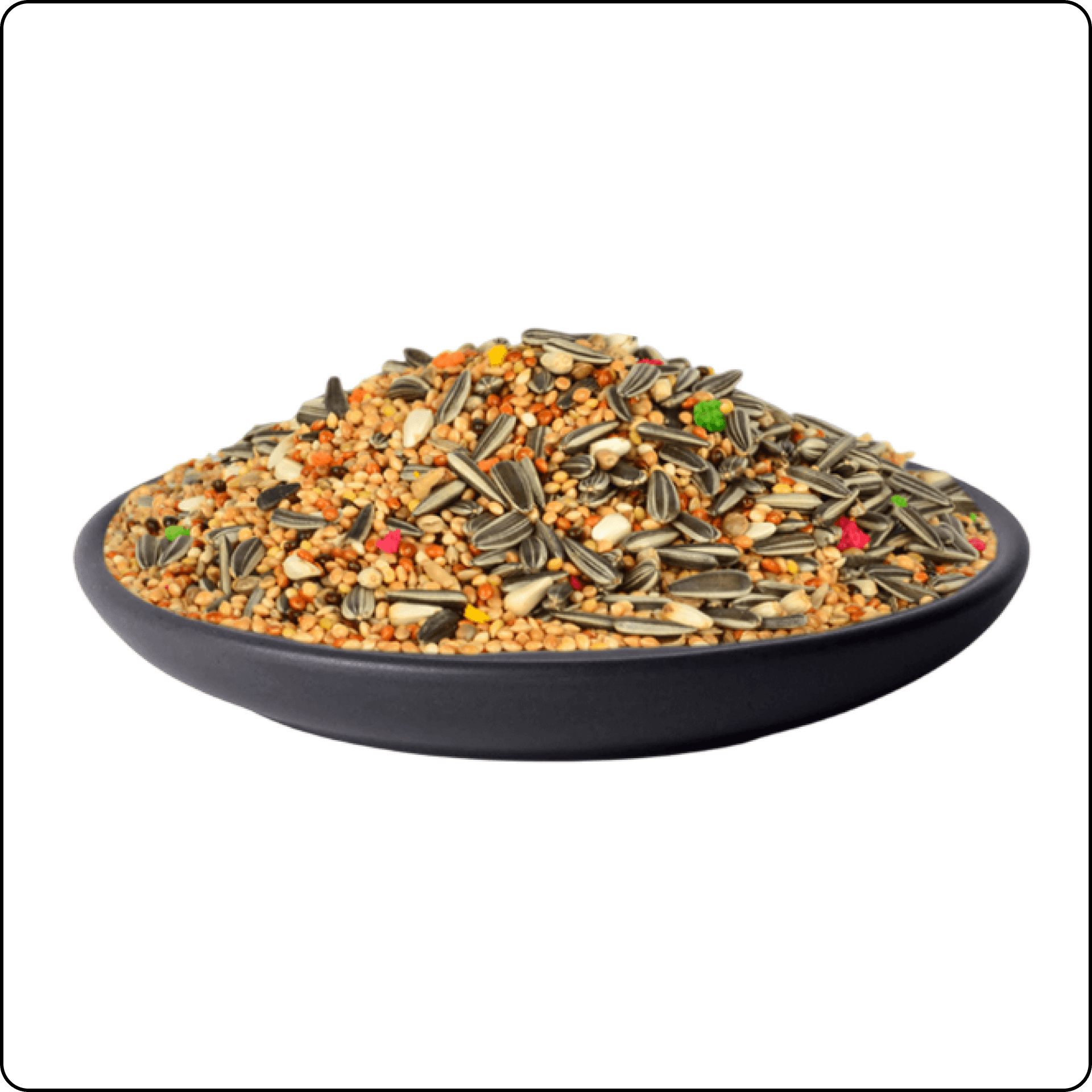 Gold Wings Premium Paraket Kuş Yemi 1 kg