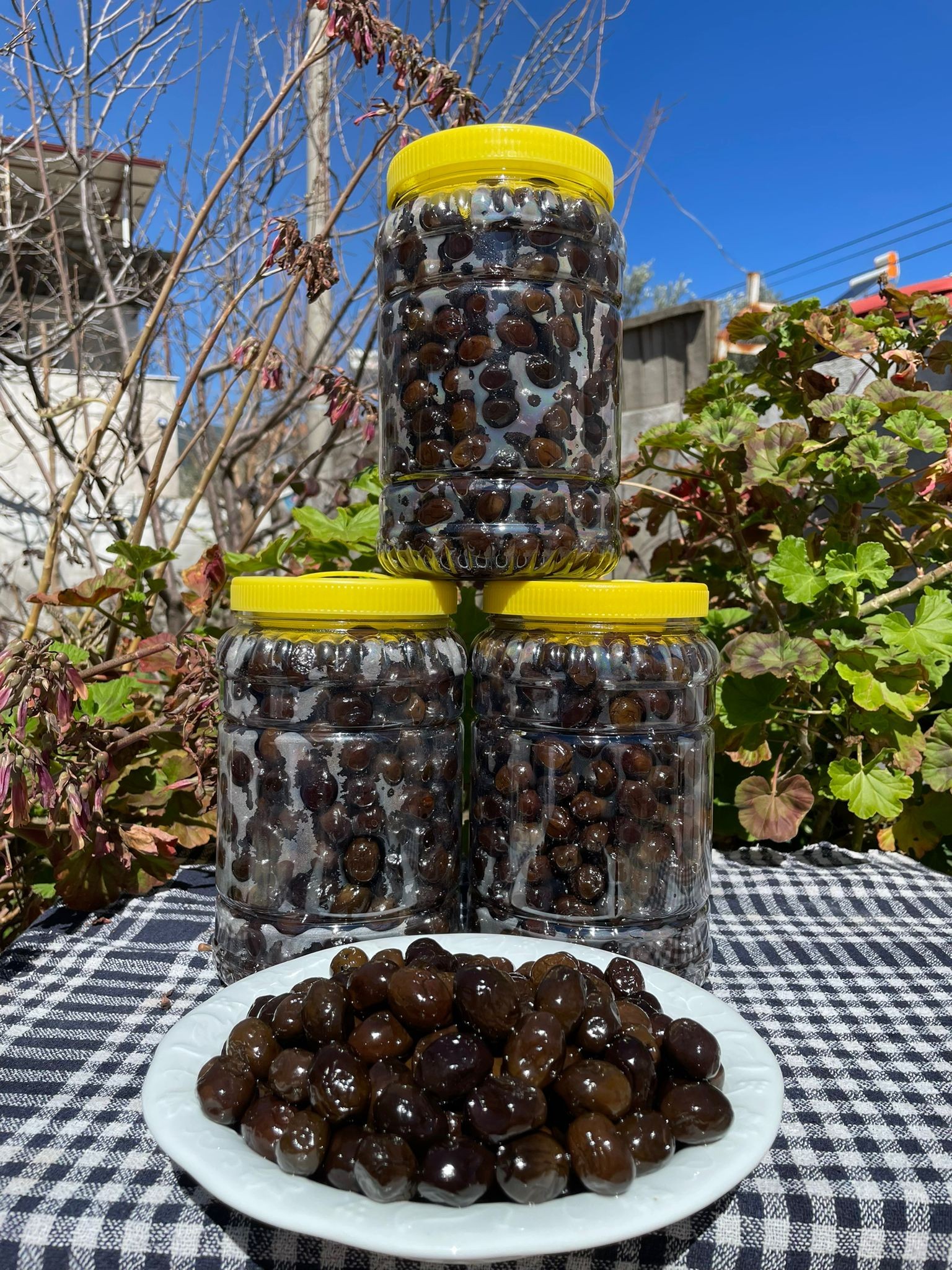 3 adet 2 KG İndirimli Siyah Zeytin Paketi!