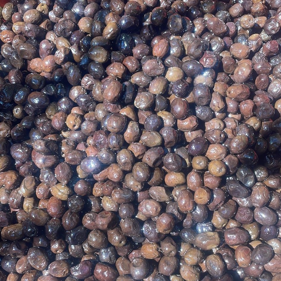Edremit Teneke Çevirme Zeytin