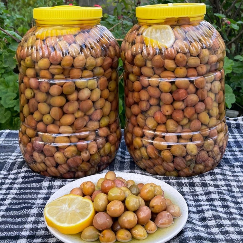 Edremit Alyanak Jumbo Zeytin