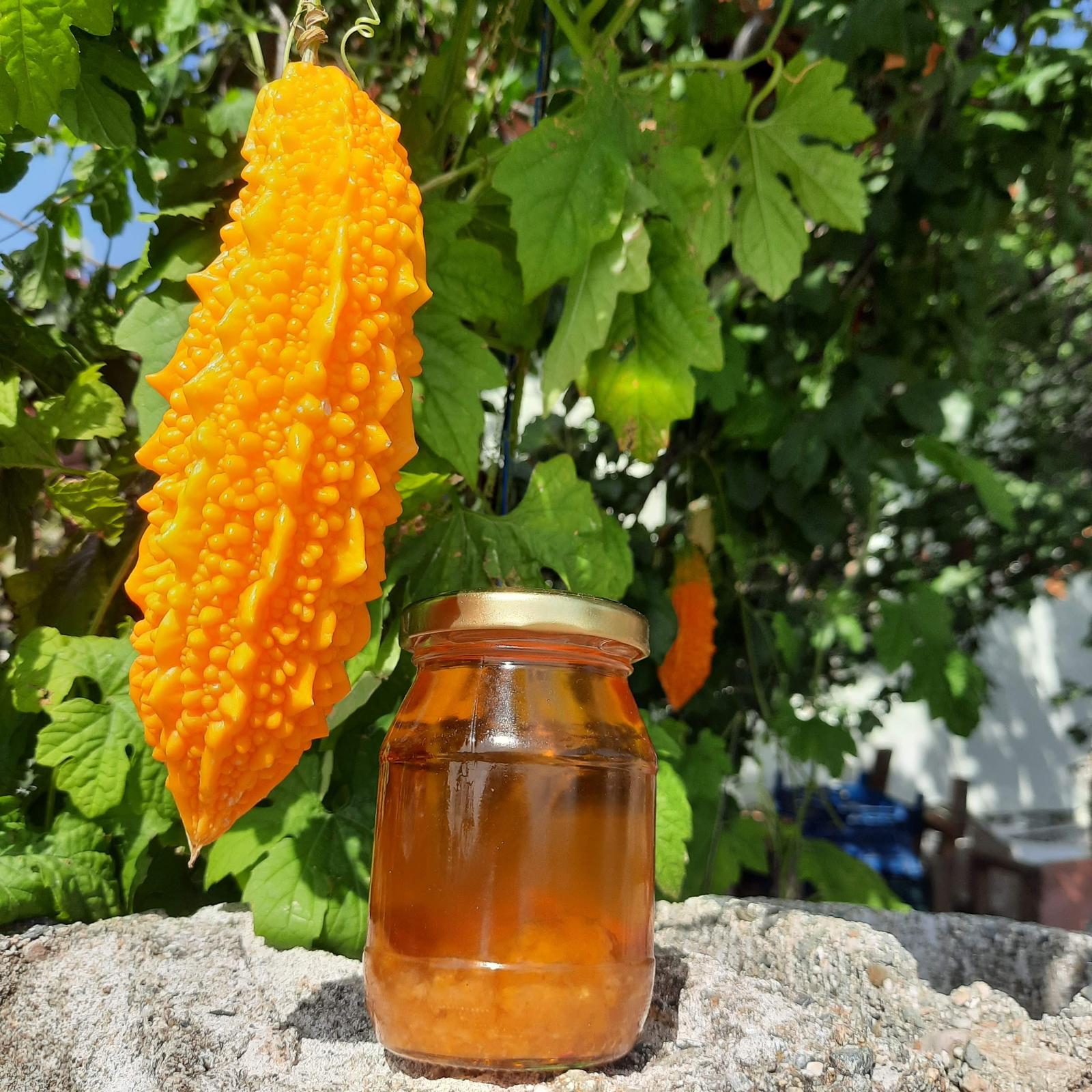 KUDRET NARI (ZEYTİNYAĞLI) KÜÇÜK BOY