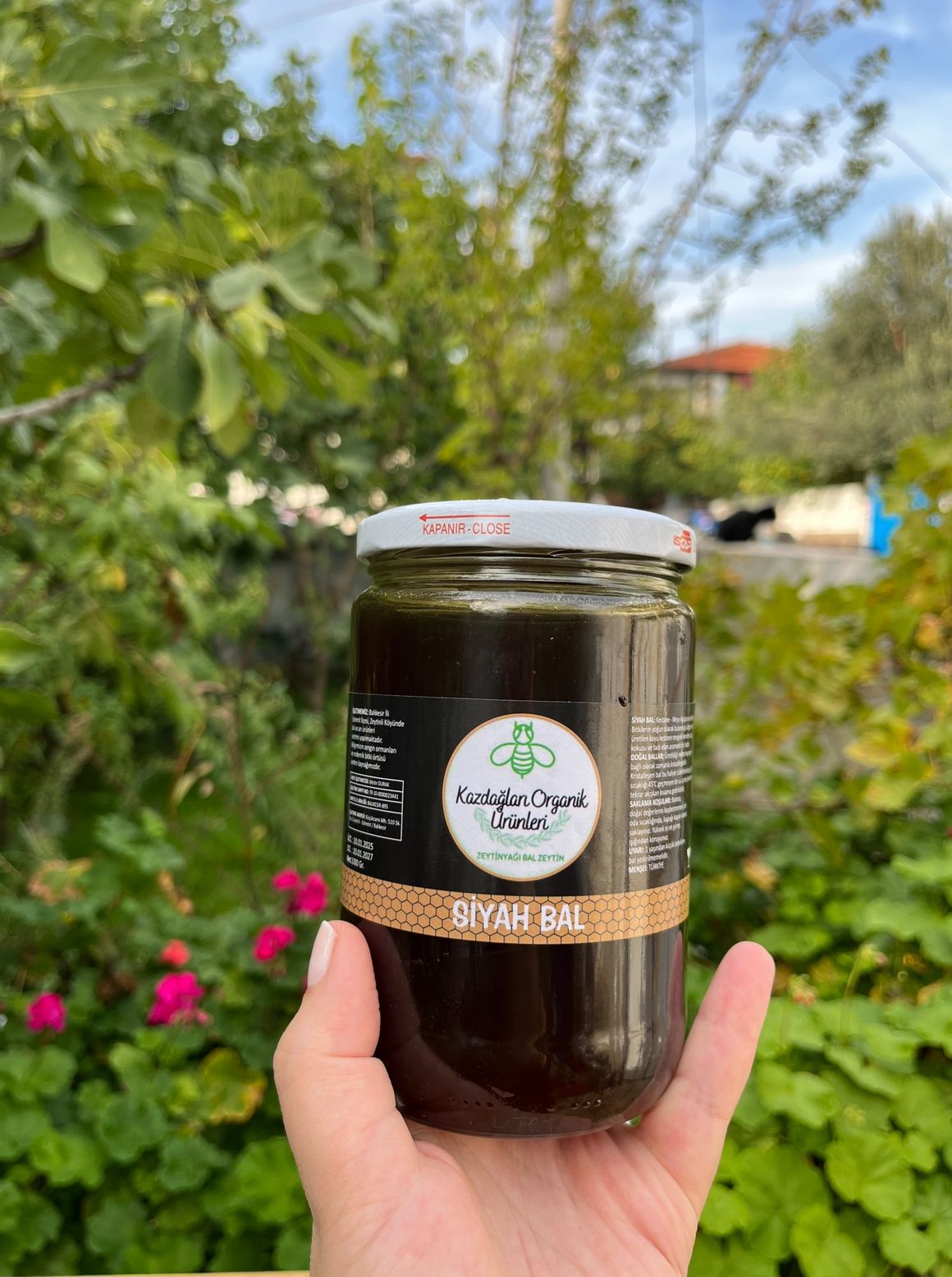 KAZDAĞI SİYAH BALI