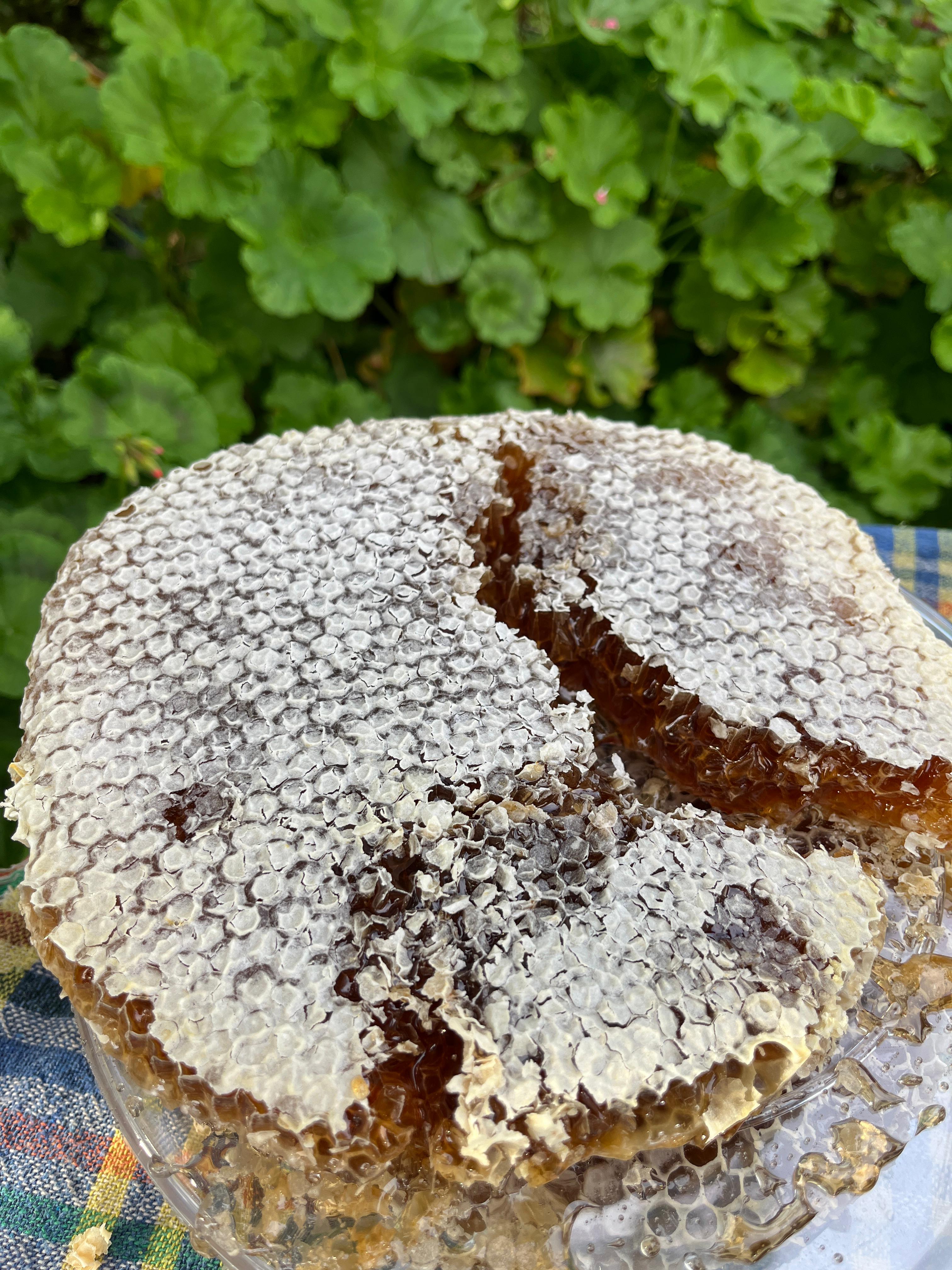 DOĞAL KÜTÜK KARAKOVAN BALI  KG