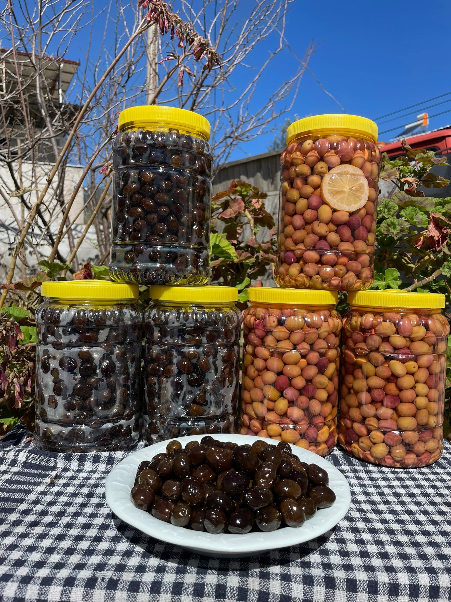 3 adet 2 KG Siyah Zeytin 3 adet 2 KG Yeşil Zeytin İndirimli Paketi!