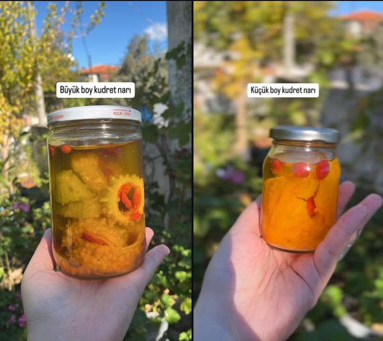 KUDRET NARI (ZEYTİNYAĞLI) KÜÇÜK BOY