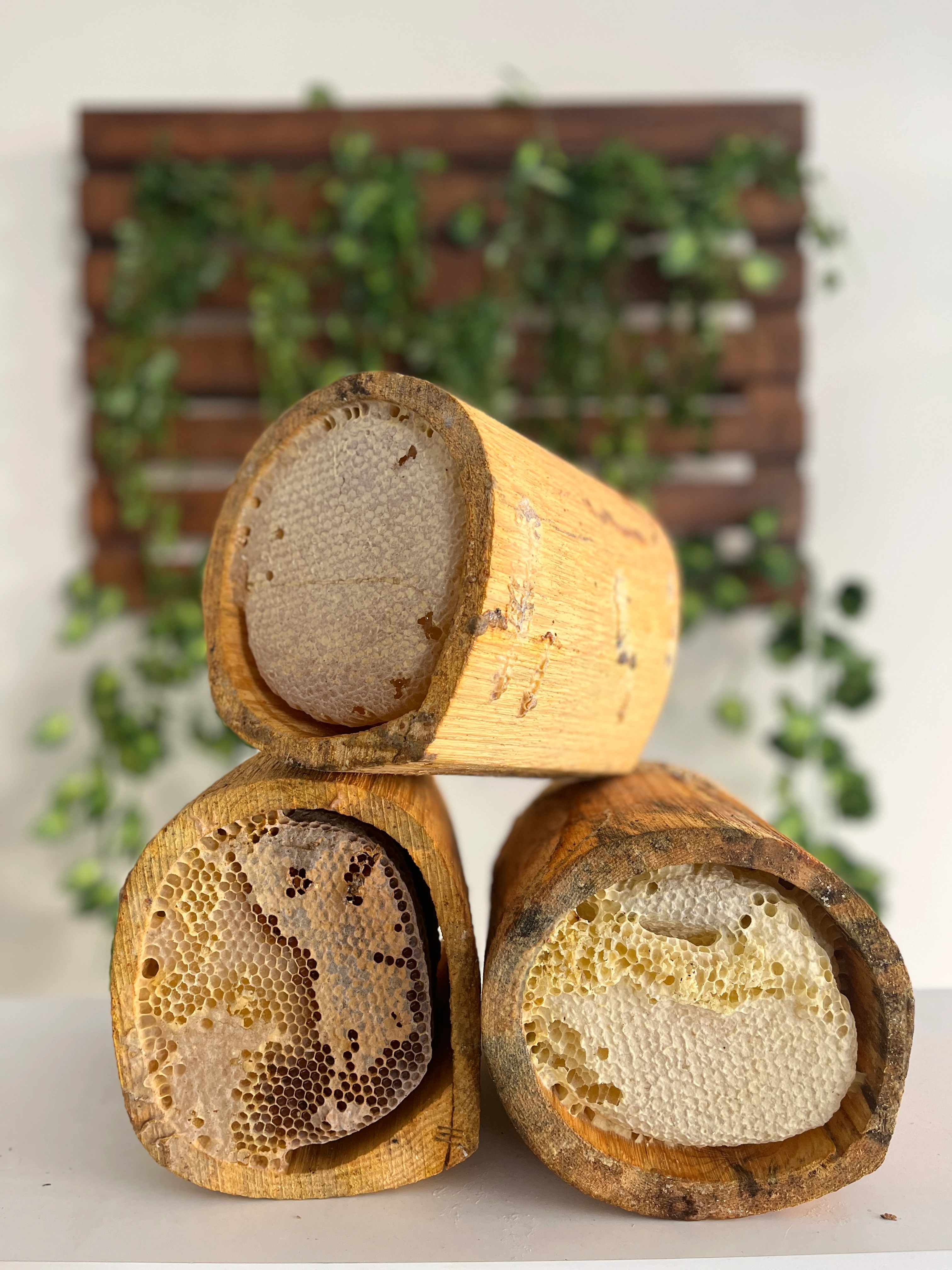 DOĞAL KÜTÜK KARAKOVAN BALI  KG