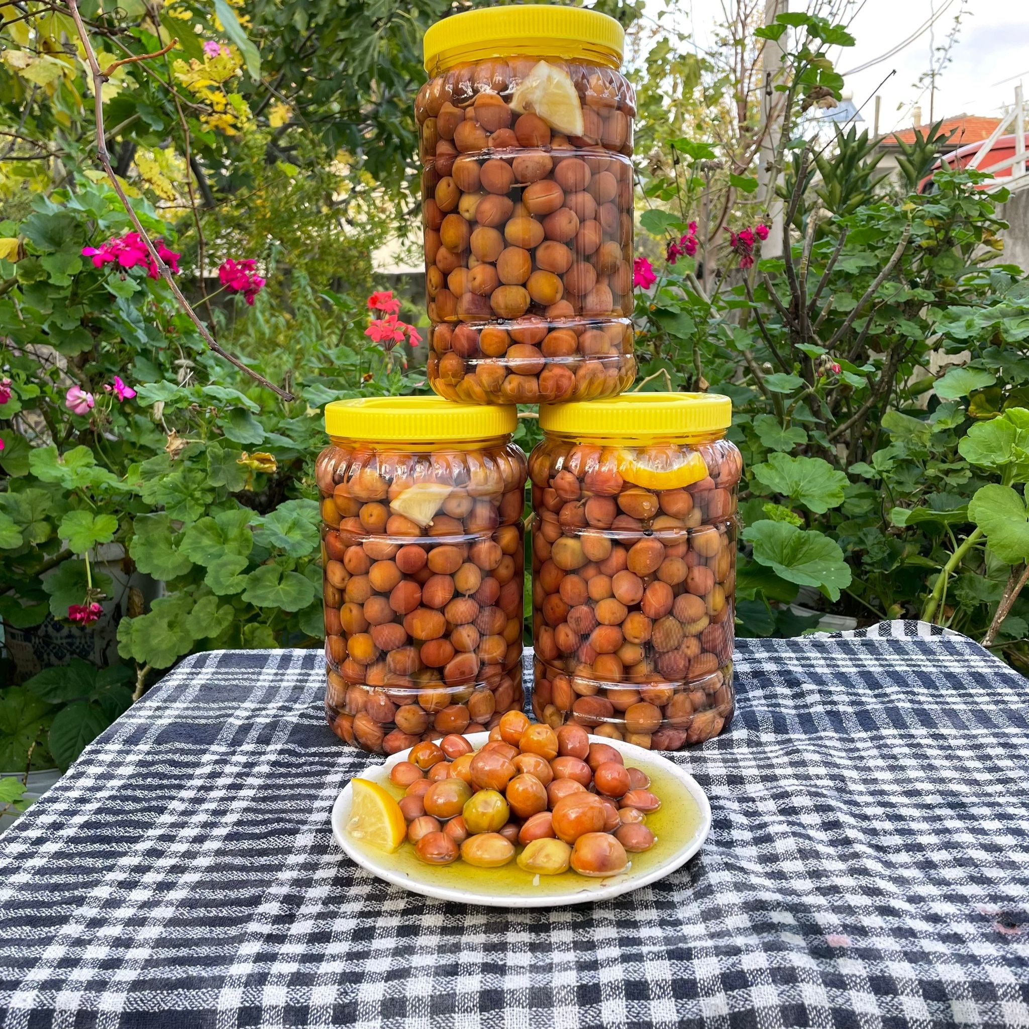 3 adet 2 KG İndirimli Yeşil Zeytin Paketi!