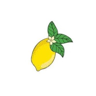 Limon Dalı Ahşap Baz