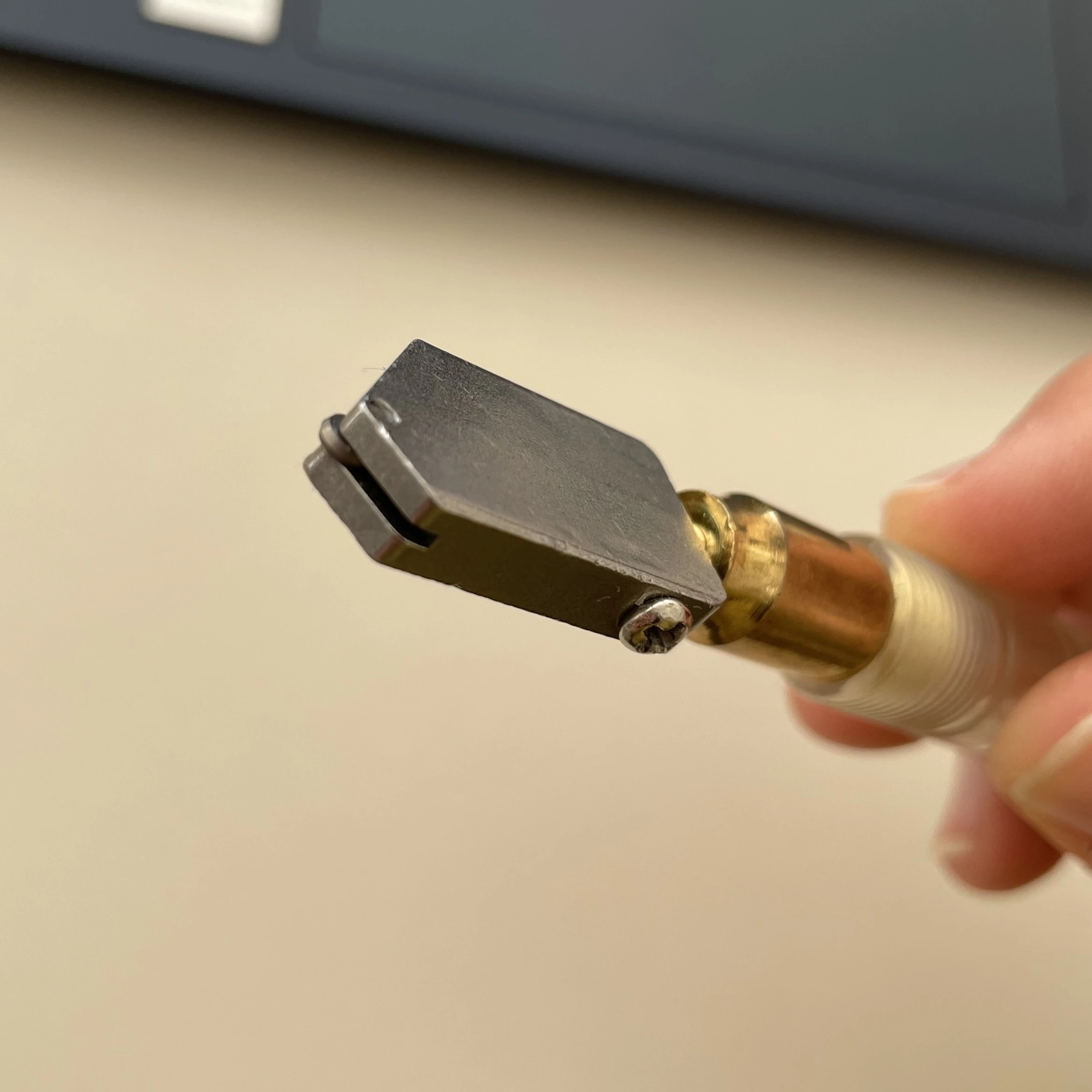 Japan Cam Kesme Elması (18cm)