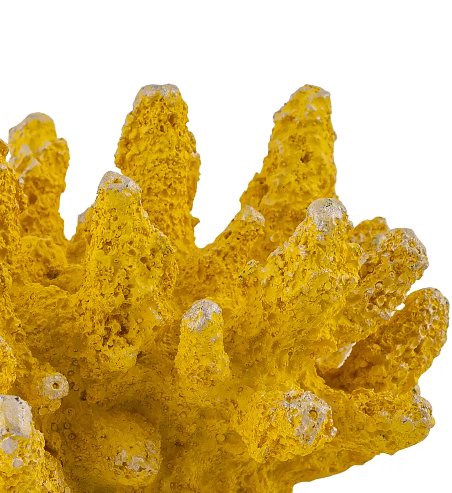 Evin Estetik Dengesi