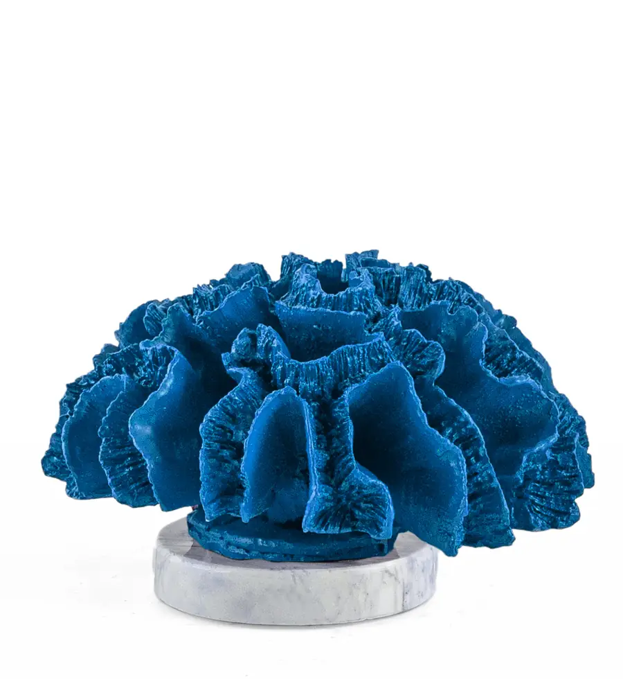 Renkli Aksesuar Seçenekleri