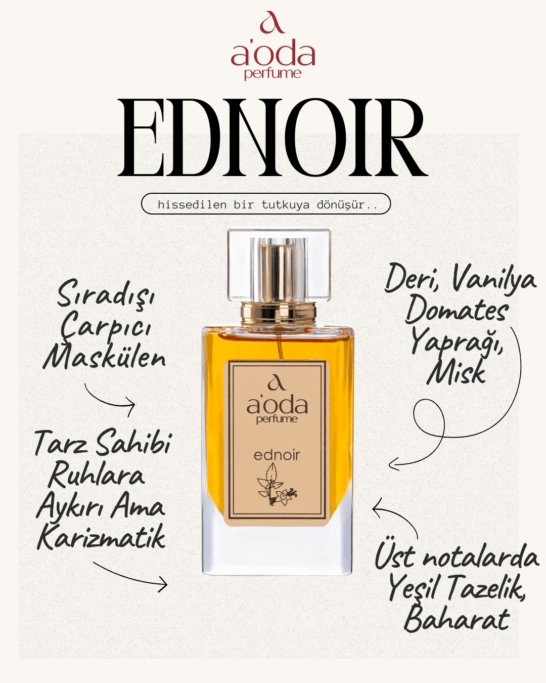 Ednoir