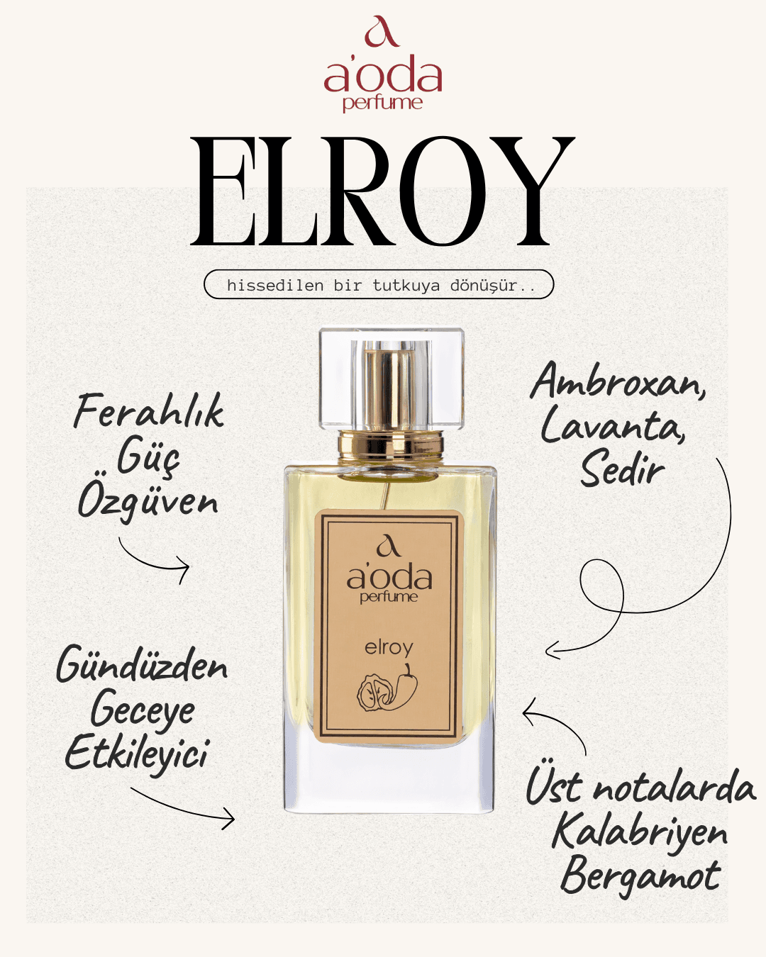Elroy
