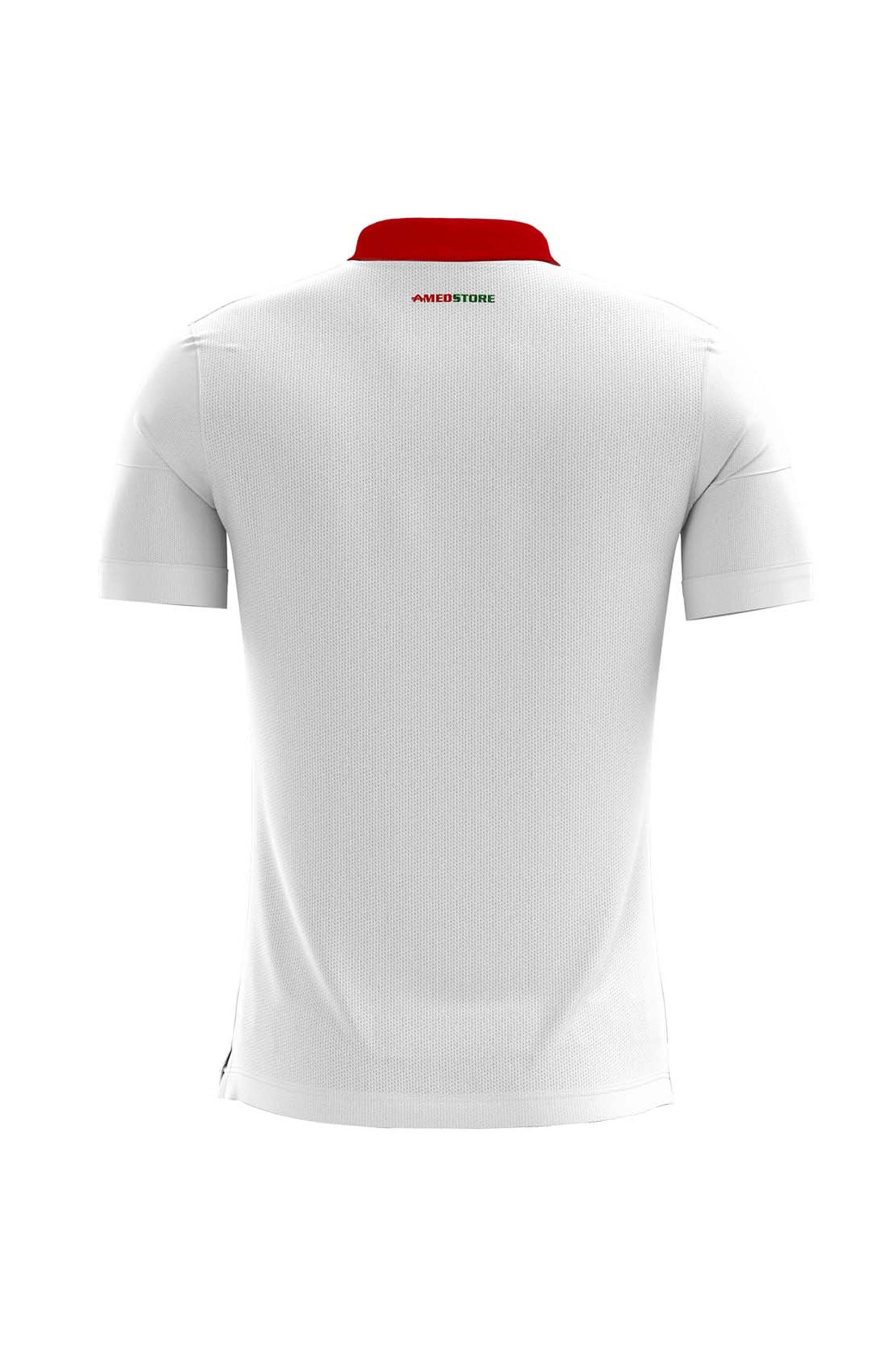 POLO YAKA MİCRO T-SHIRT