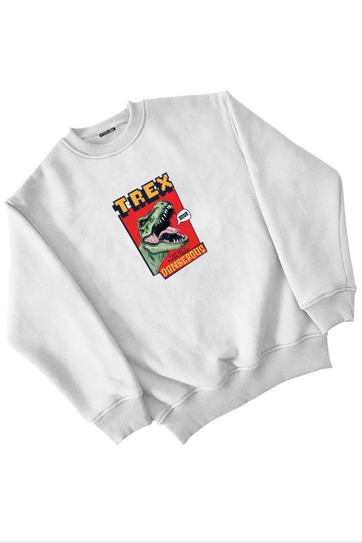 T-Rex Dinozor Baskılı Kız Erkek Çocuk Sweatshirt