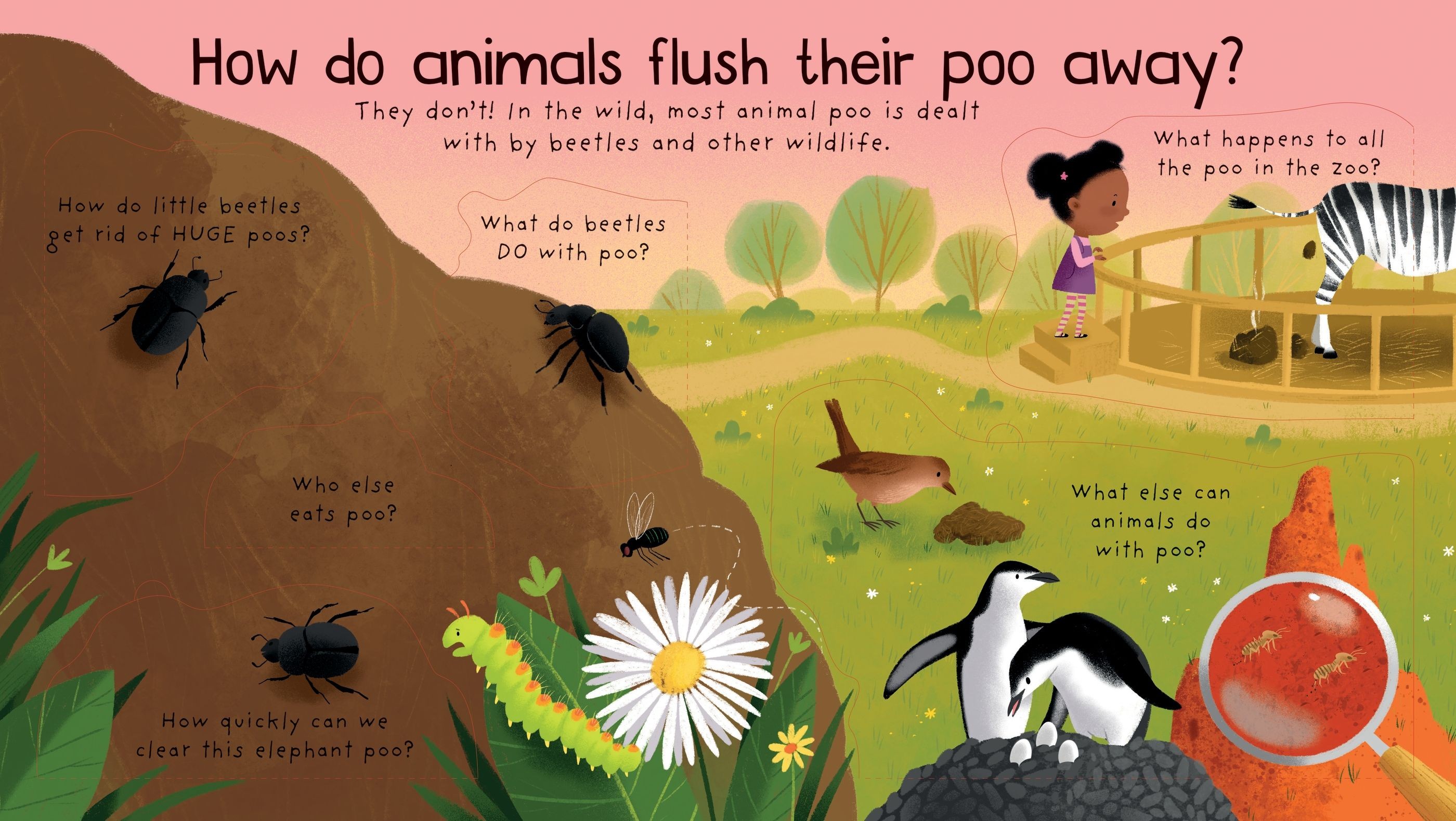  Lift the Flap First Q&A Where Does Poo Go? 3+