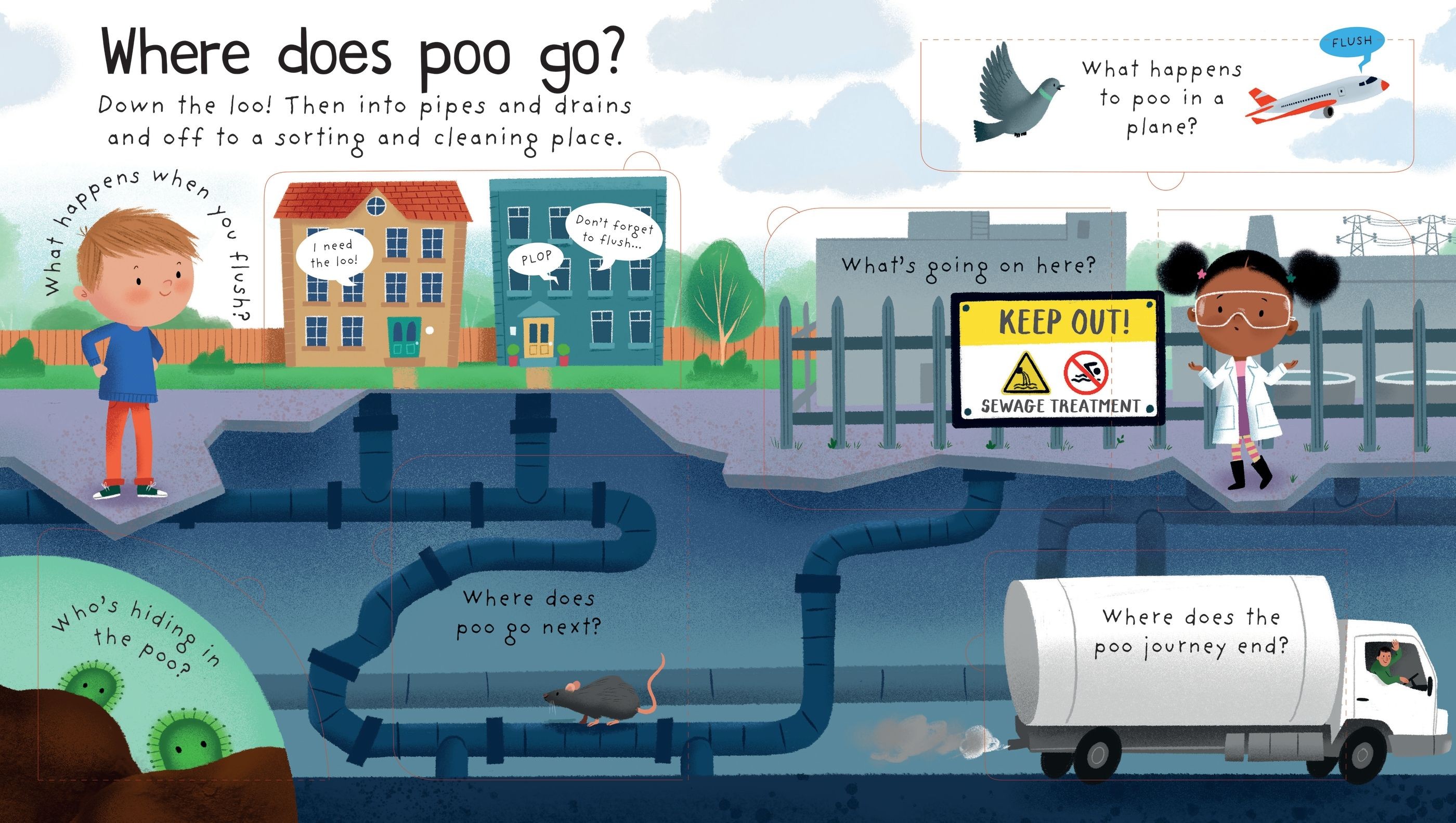  Lift the Flap First Q&A Where Does Poo Go? 3+