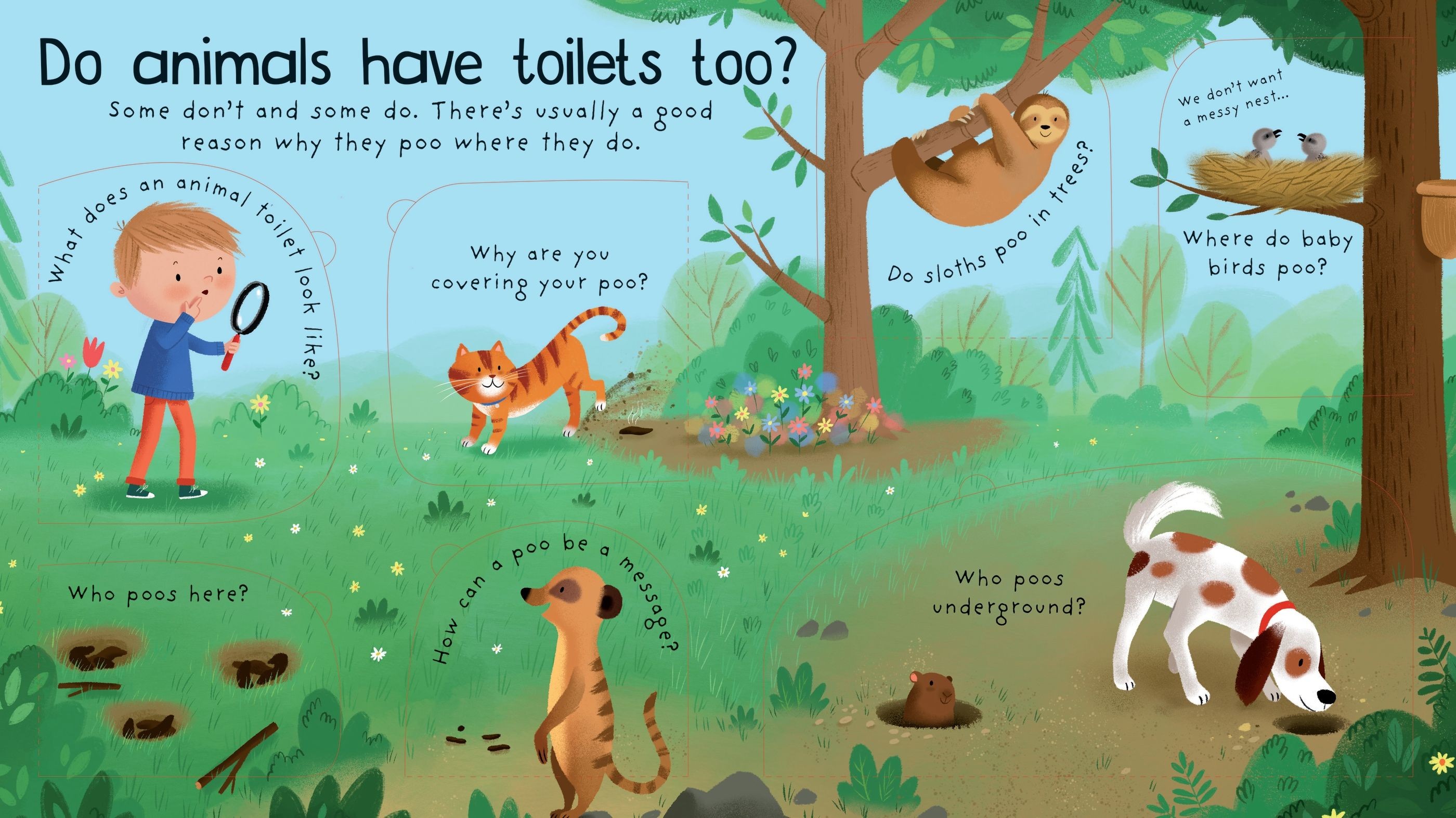  Lift the Flap First Q&A Where Does Poo Go? 3+