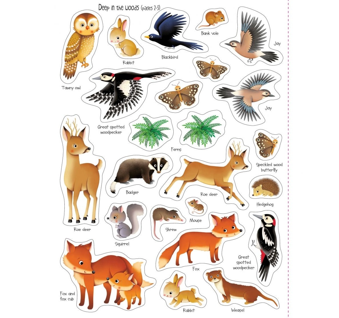 First Sticker Book - Nature 3+