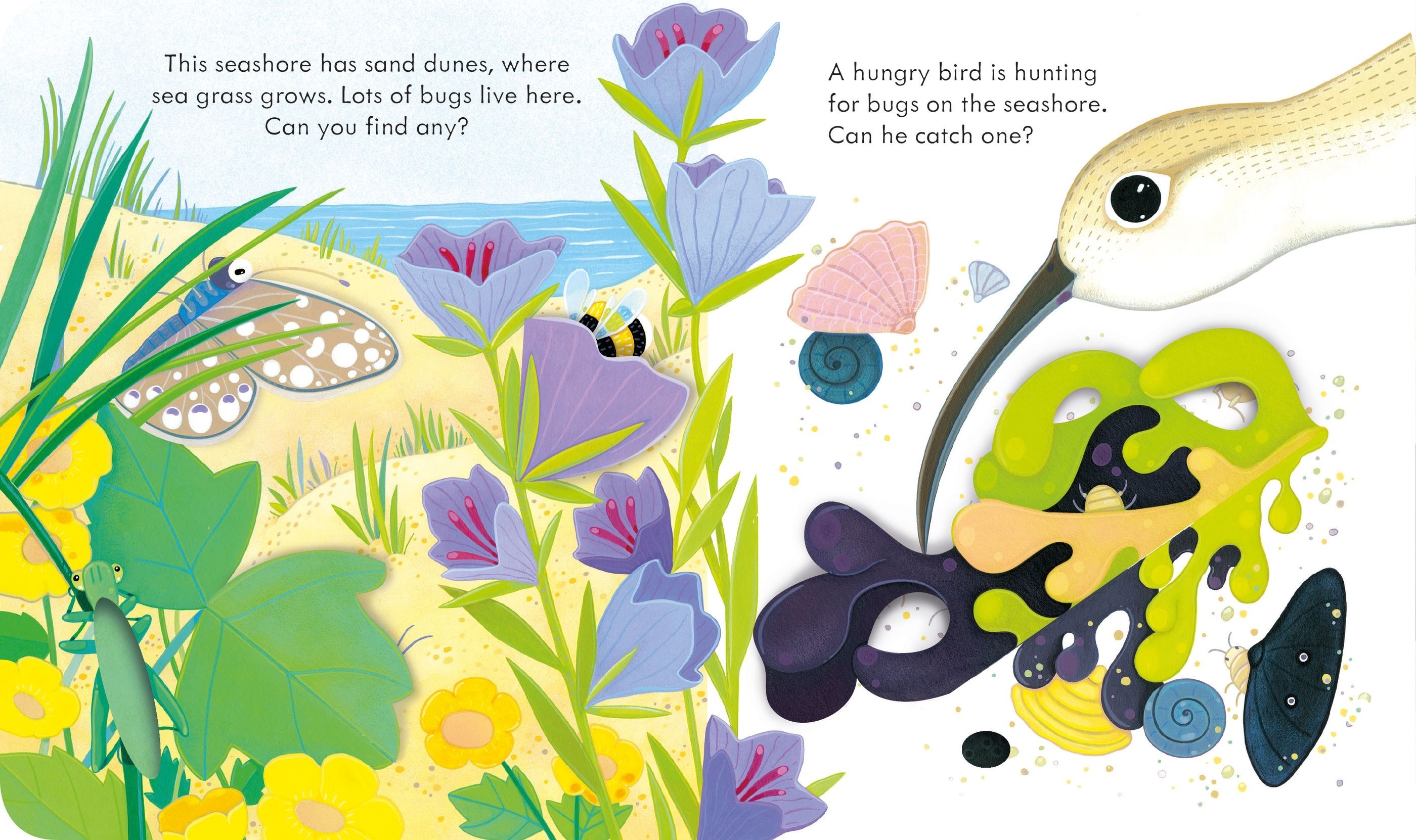  Peep Inside the Seashore 3+