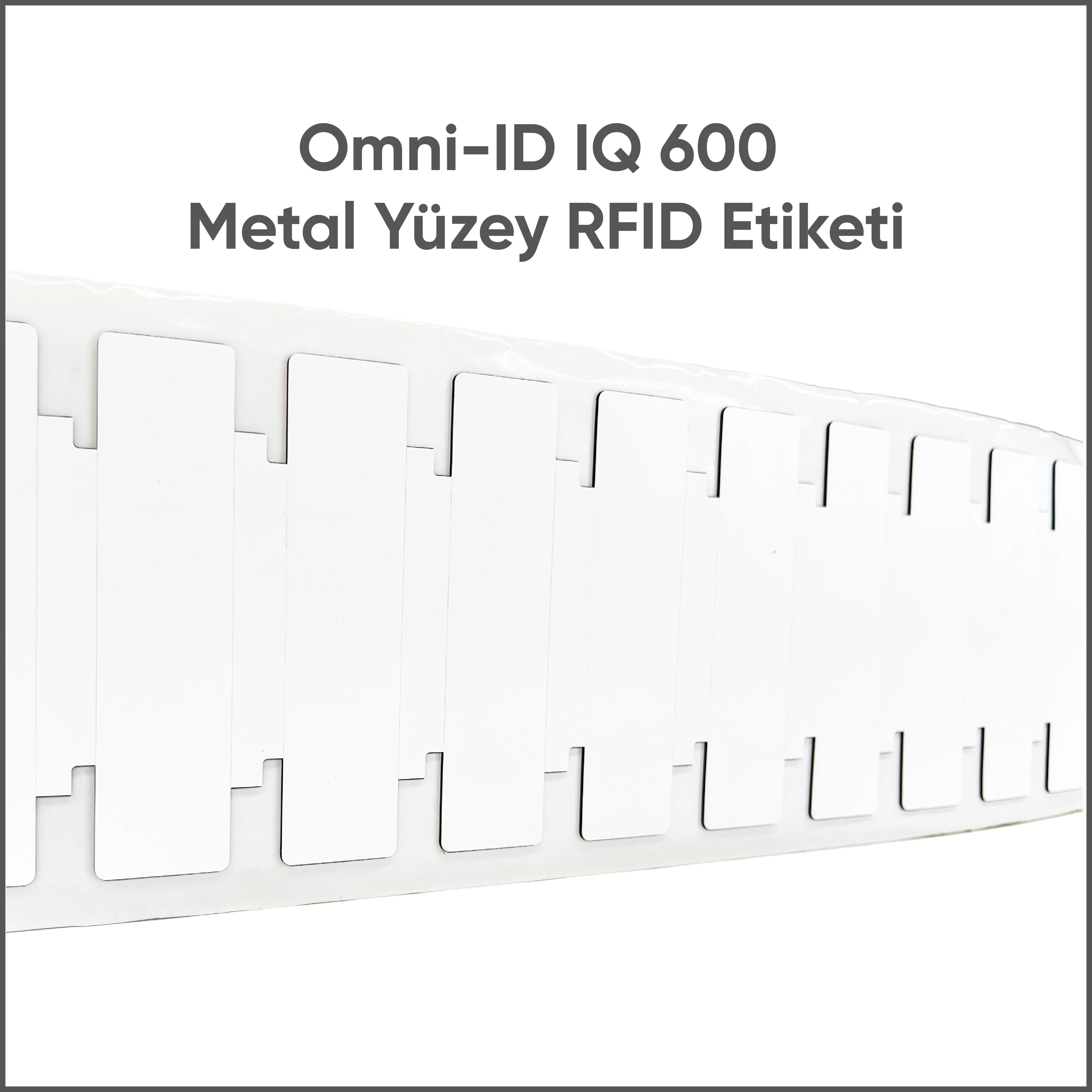 Omni-ID IQ 600 Metal Yüzey RFID Etiketi main variant image