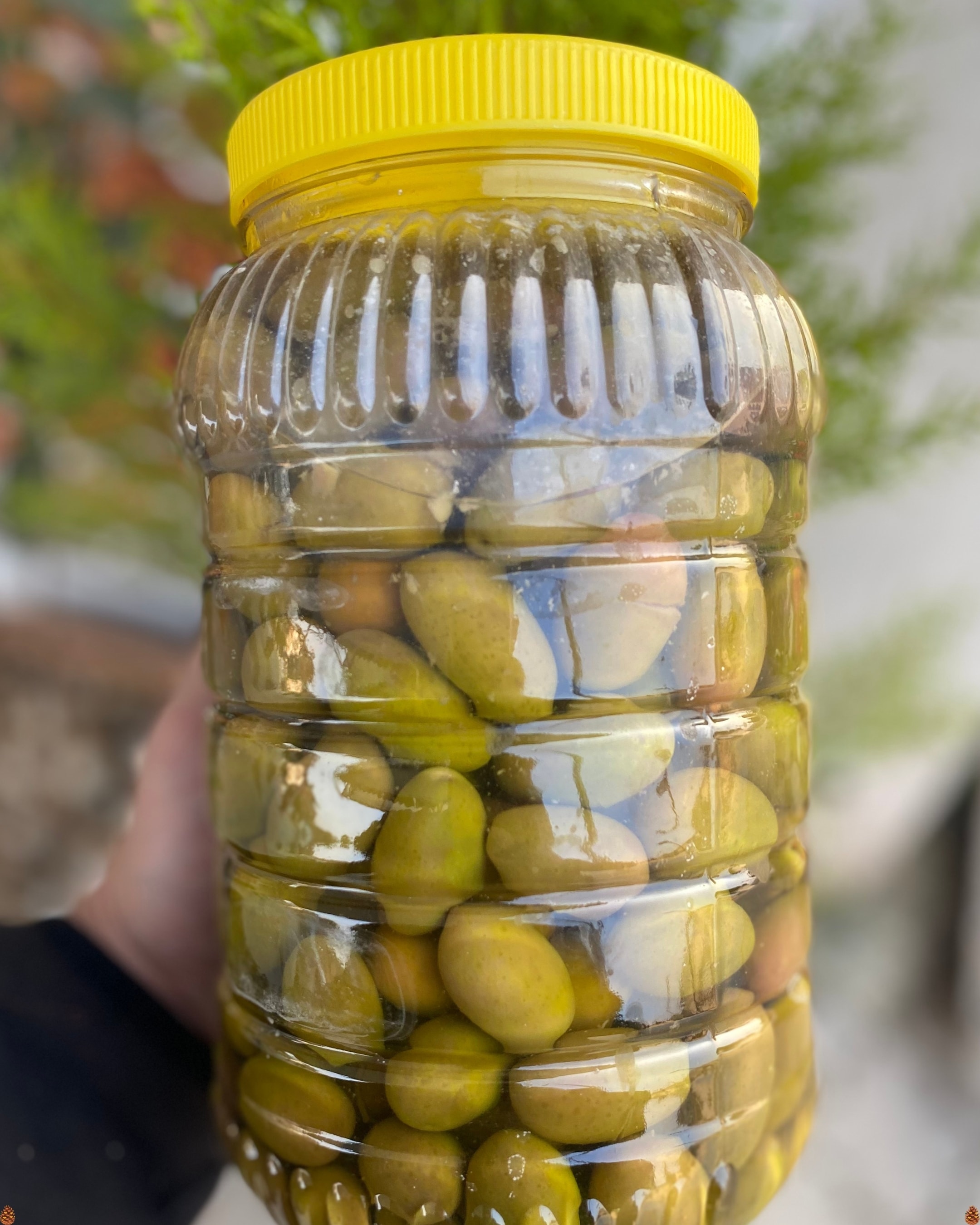 Dilme Yeşil Zeytin (2KG)