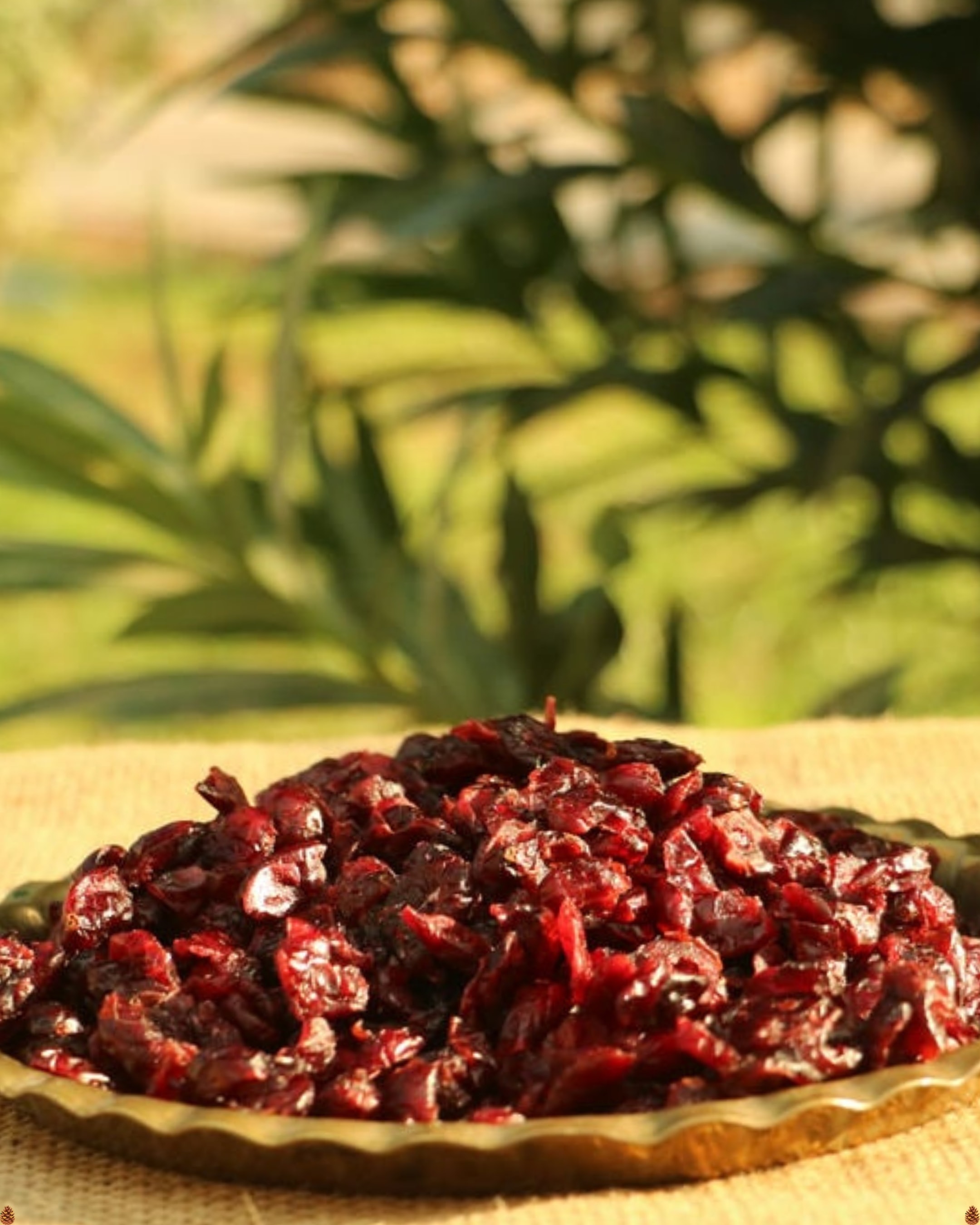 Cranberry turna yemişi (100gr)