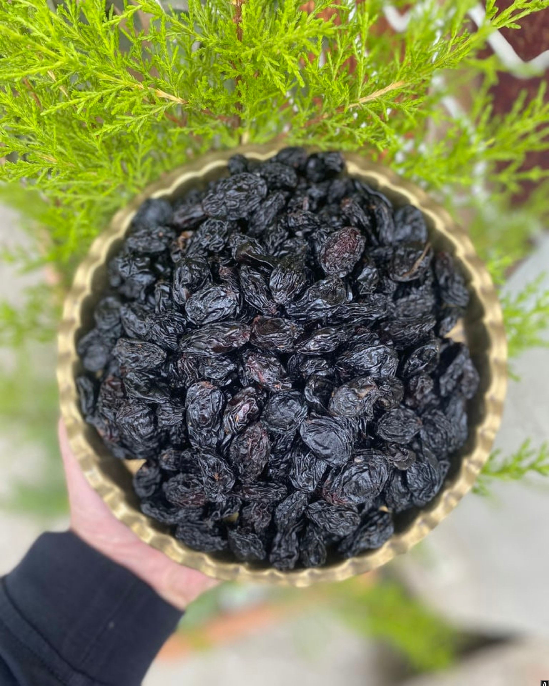 Çekirdekli Kuru Üzüm (500 Gr)