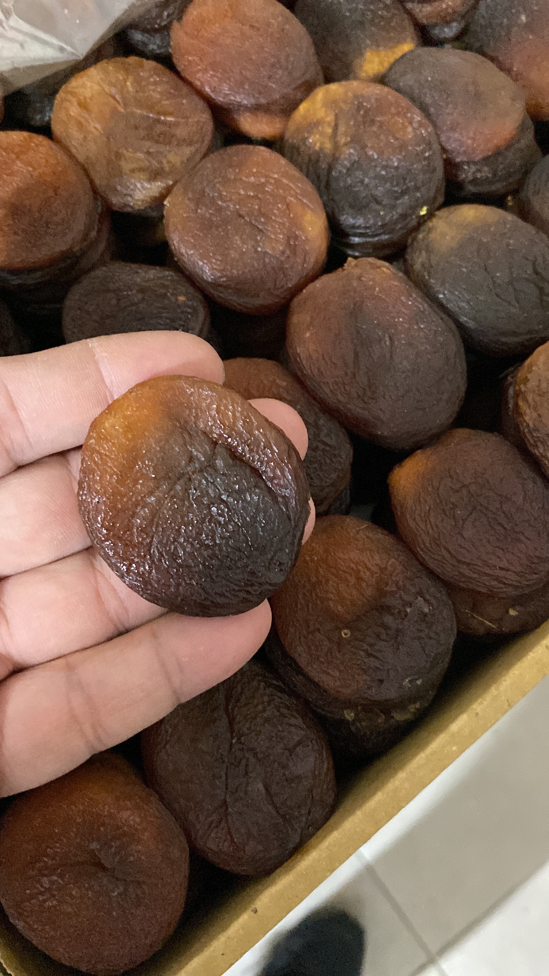Gün kurusu kayısı (500gr)