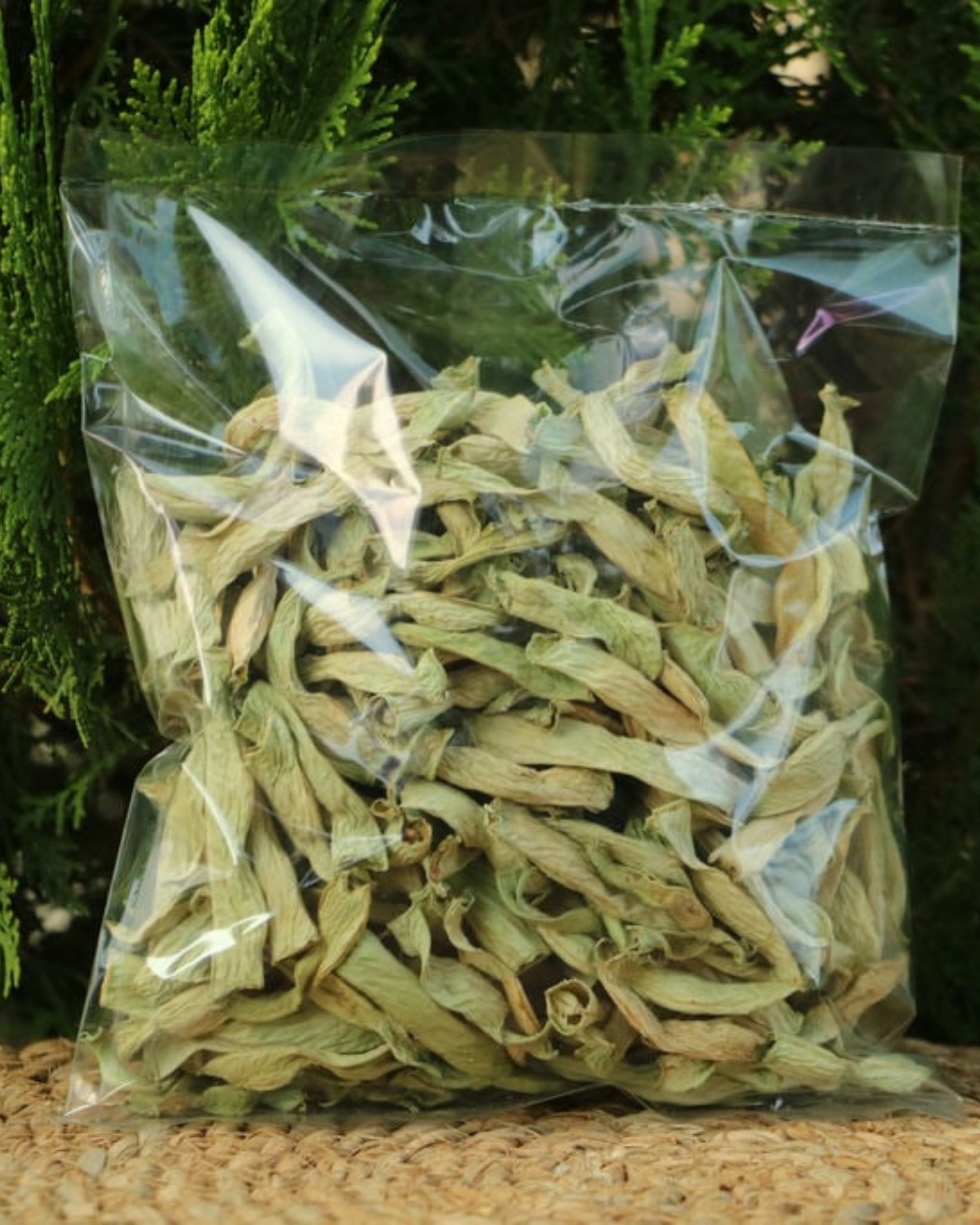 Taze Fasulye Kurusu (100gr)